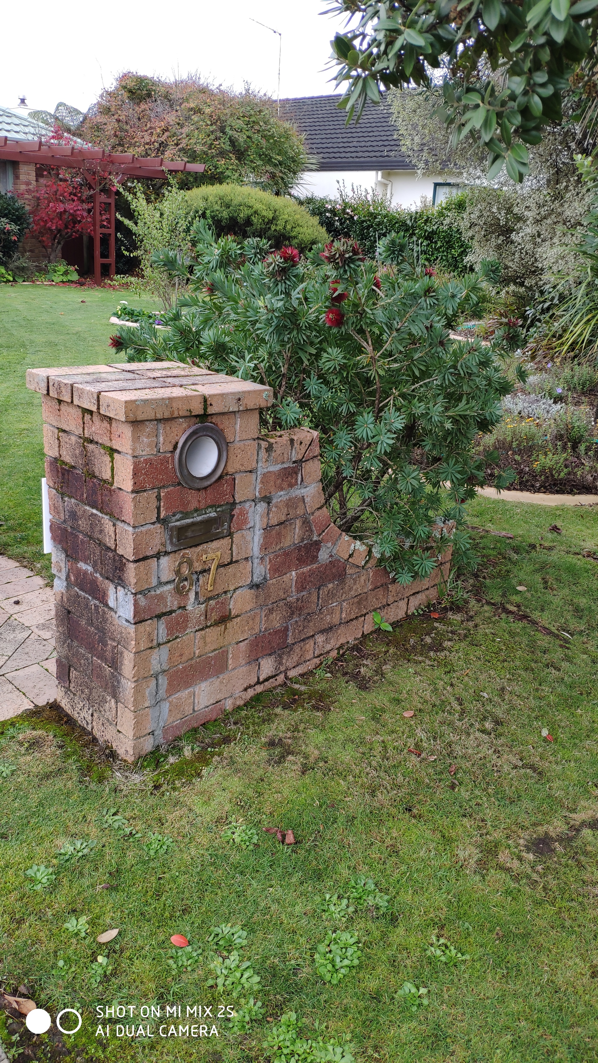 Mailboxes - My, New Zealand, Mailbox, beauty, mail, Walk, Longpost