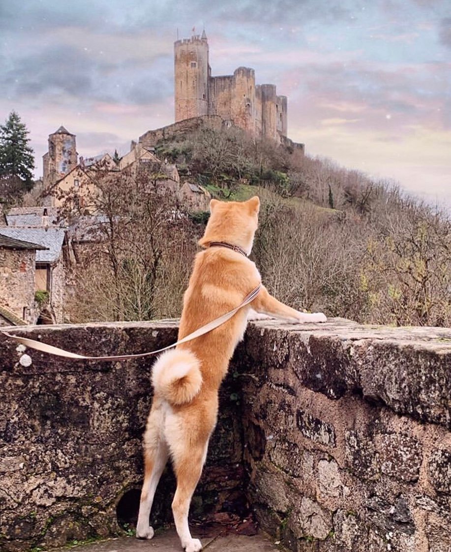 Village and fortress Najac. France - France, Travels, Locks, Fortress, Video, Longpost