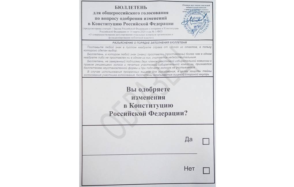 With bitterness in my heart I go to vote - My, Constitution, Vote, Vladimir Putin, Russia, Amendments, Longpost, Politics, Referendum