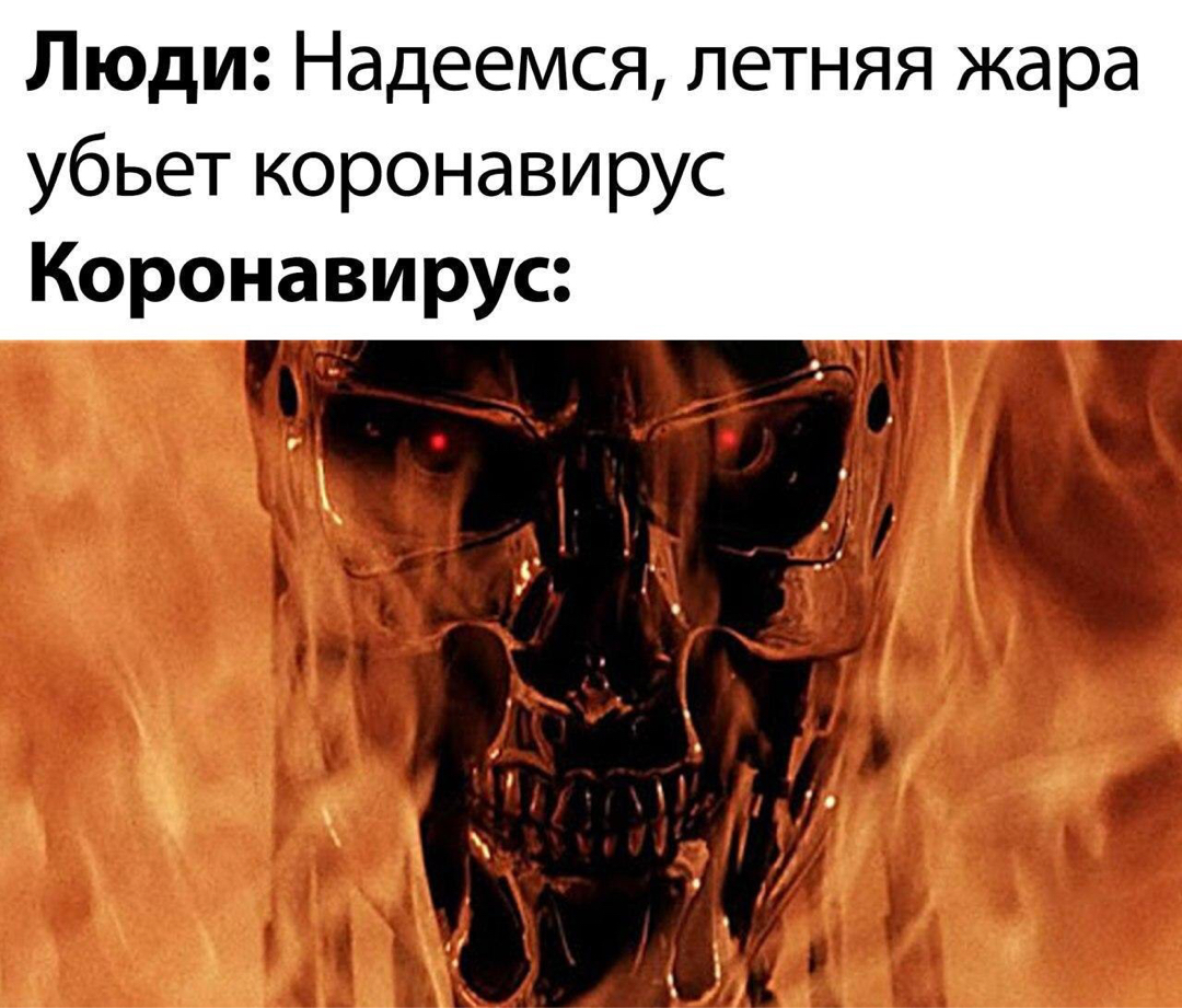Картинка со звуком | Пикабу