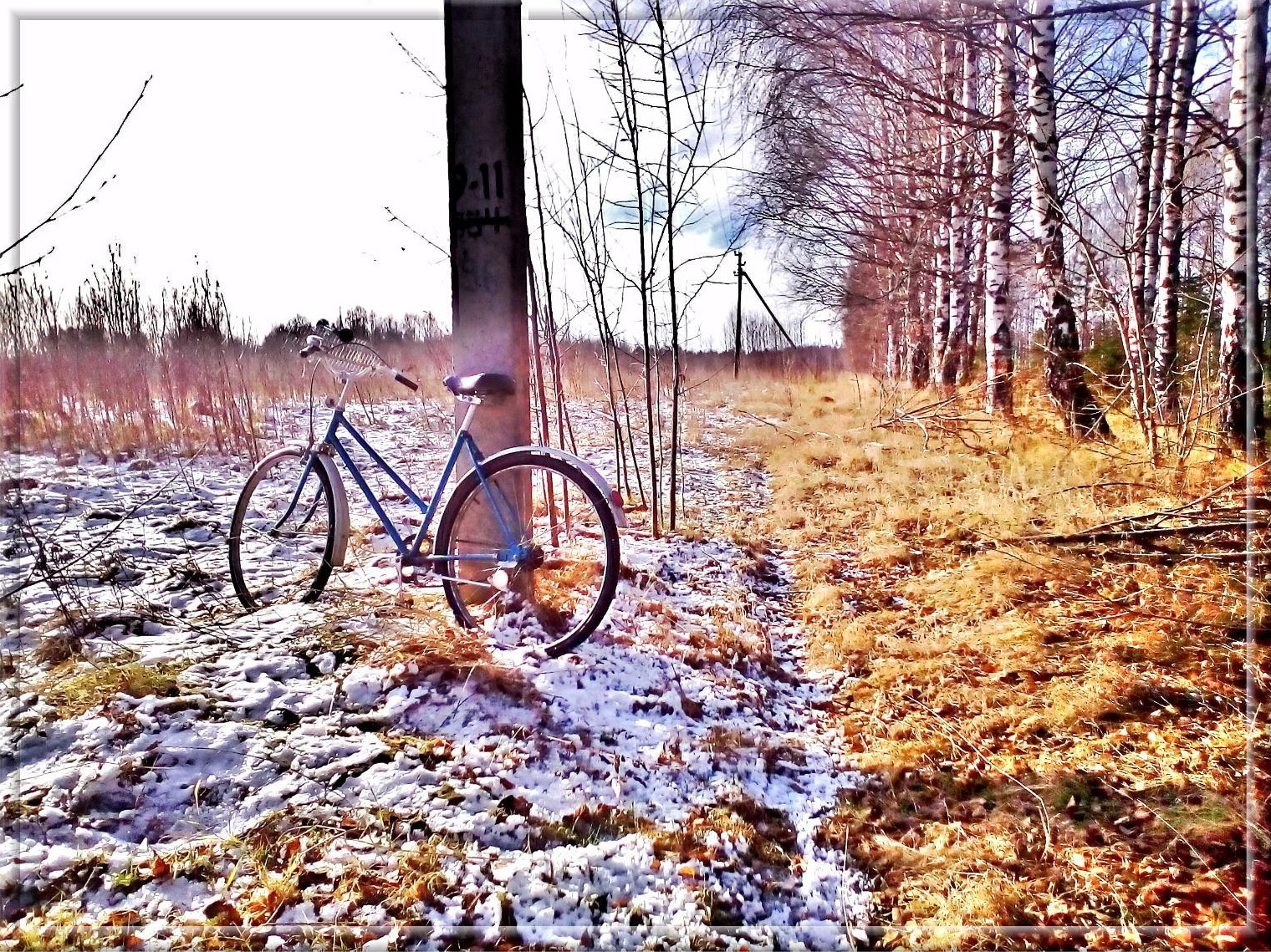 June 3 is World Bicycle Day! - My, A bike, Holidays, Seasons, Longpost