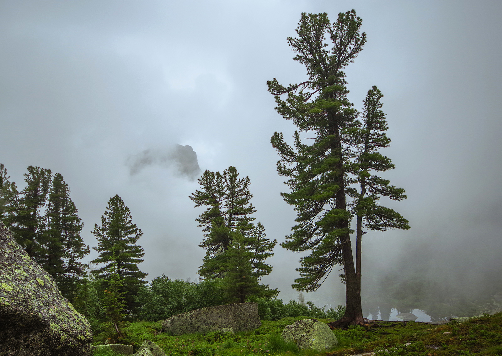 So I touched the clouds with my hands - Ergaki, Travels, Landscape, The photo, Fog, Holidays in Russia, Camping, Wild tourism, Longpost