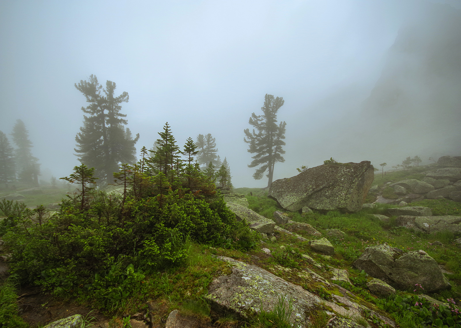 So I touched the clouds with my hands - Ergaki, Travels, Landscape, The photo, Fog, Holidays in Russia, Camping, Wild tourism, Longpost