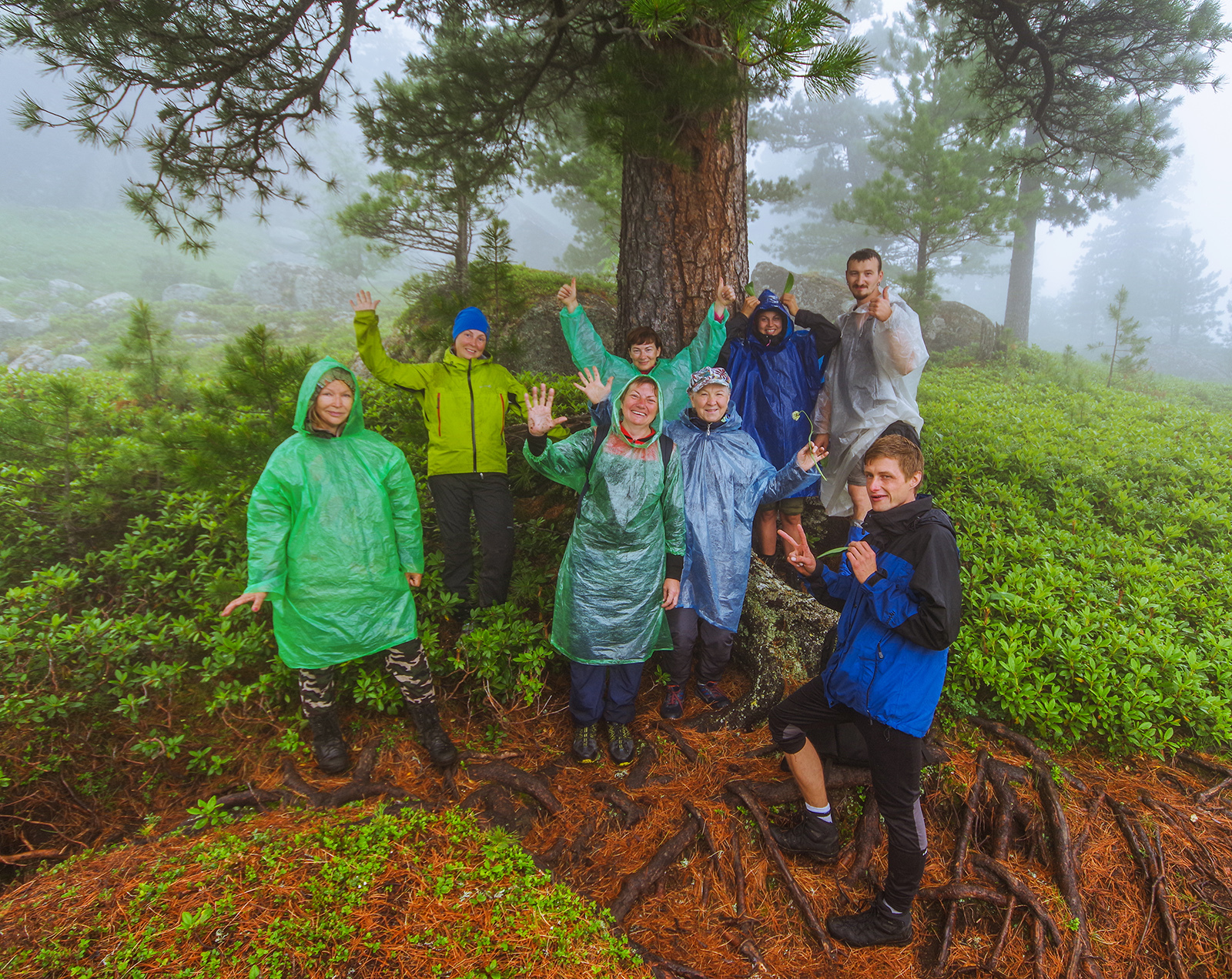 So I touched the clouds with my hands - Ergaki, Travels, Landscape, The photo, Fog, Holidays in Russia, Camping, Wild tourism, Longpost