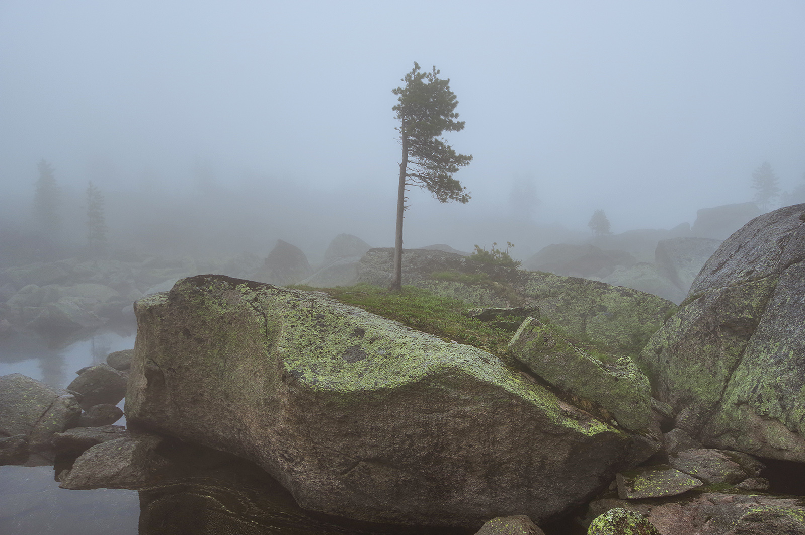 So I touched the clouds with my hands - Ergaki, Travels, Landscape, The photo, Fog, Holidays in Russia, Camping, Wild tourism, Longpost