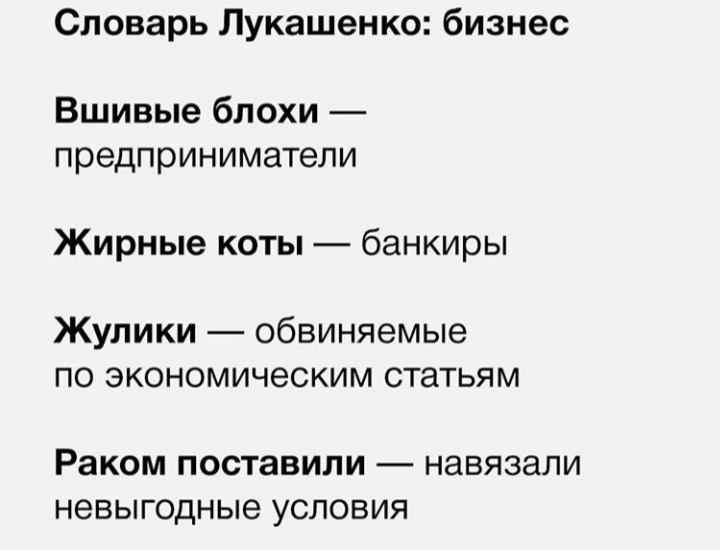 Новый политический белорусский язык - Длиннопост, Александр Лукашенко, Республика Беларусь, Политика, Словарь