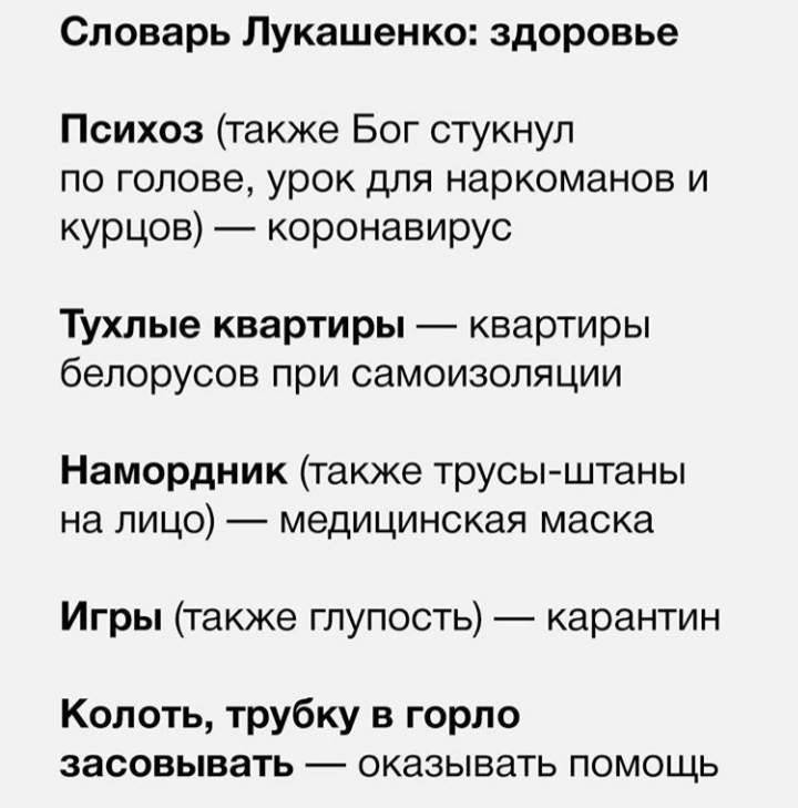 Новый политический белорусский язык - Длиннопост, Александр Лукашенко, Республика Беларусь, Политика, Словарь