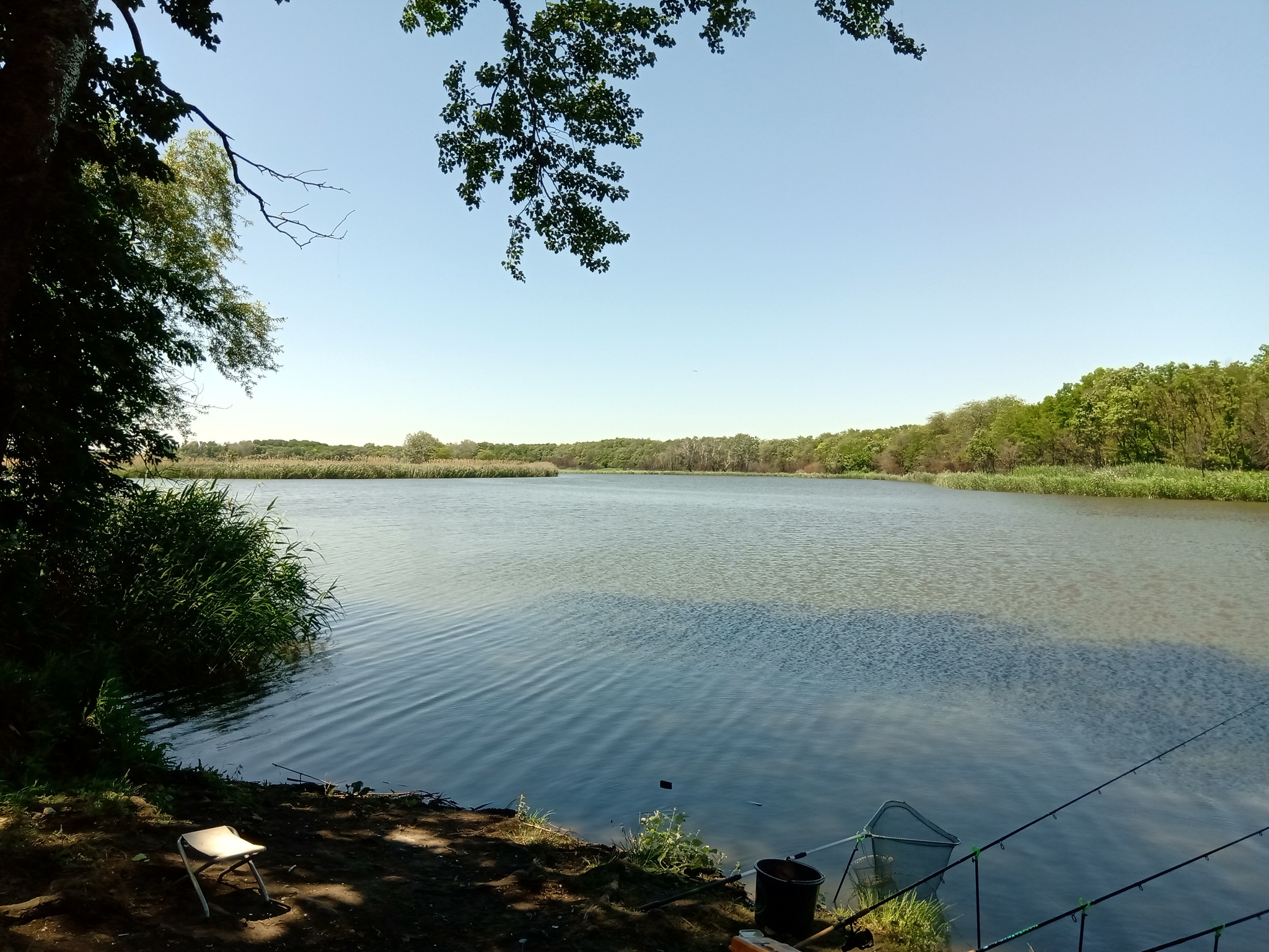 I fed the water - My, Fishing, Nature, Camping, Longpost