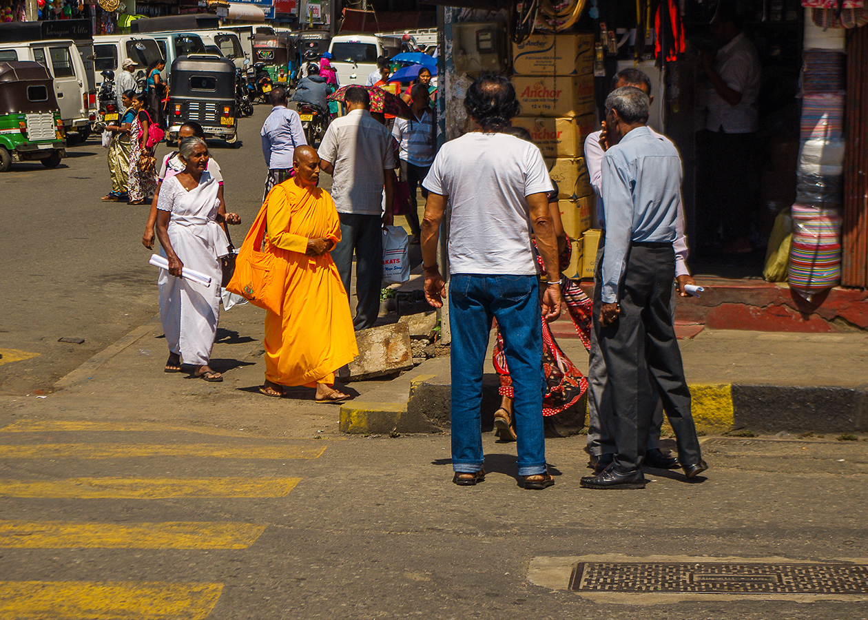 Sri Lanka - My, Sri Lanka, Travels, People, The photo, Wild tourism, Longpost