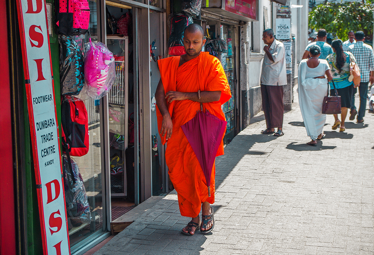 Sri Lanka - My, Sri Lanka, Travels, People, The photo, Wild tourism, Longpost