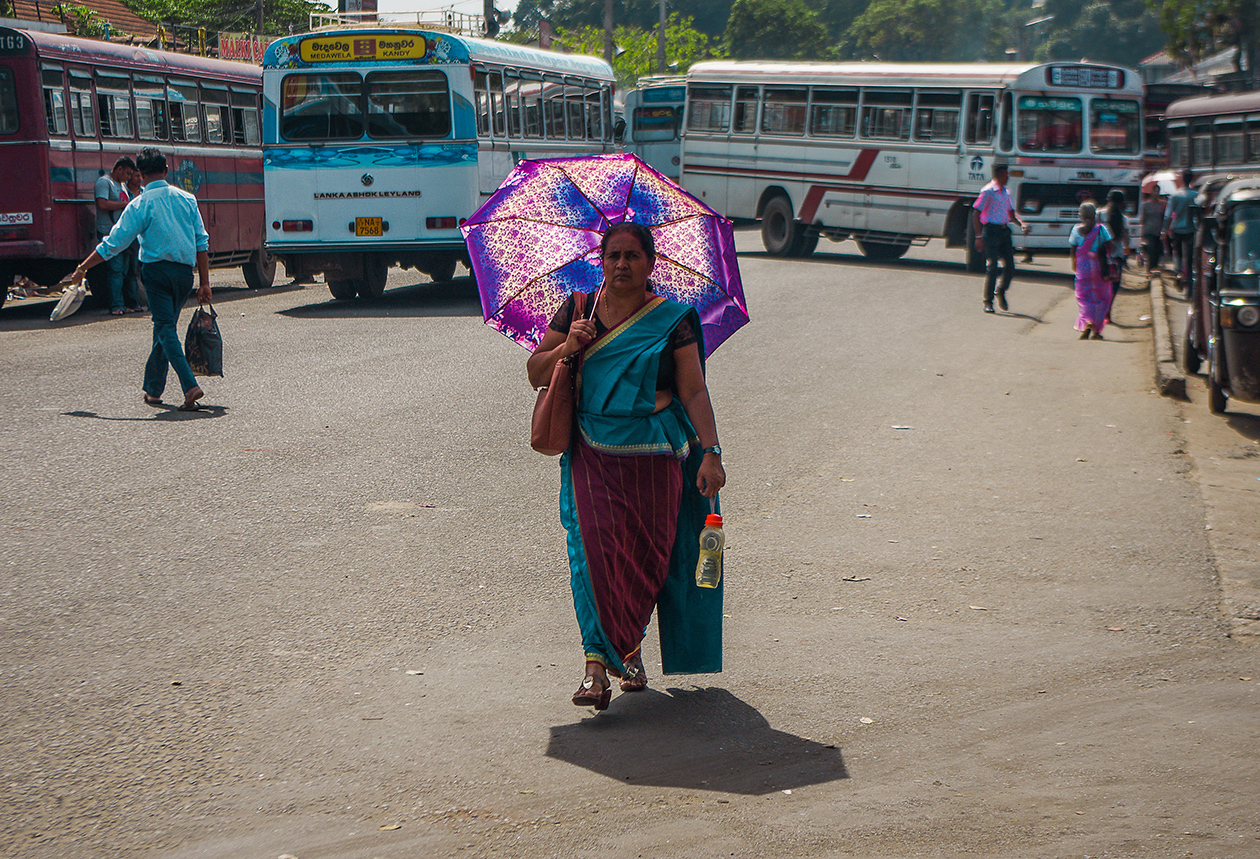 Sri Lanka - My, Sri Lanka, Travels, People, The photo, Wild tourism, Longpost