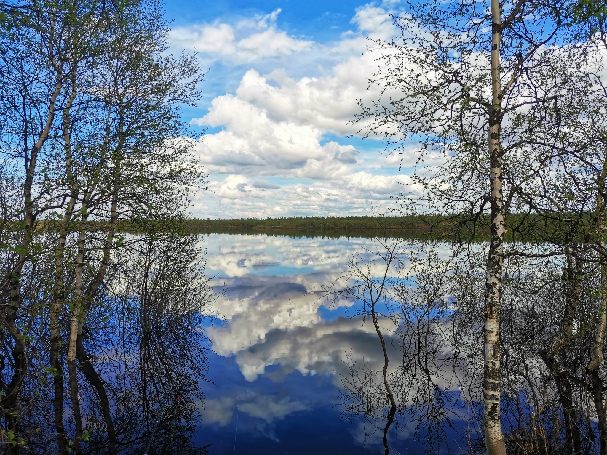 Nenets Autonomous Okrug - My, Nenets Autonomous Okrug, Naryan-Mar, The photo, Nature, North, White Nights, Fishing, Longpost