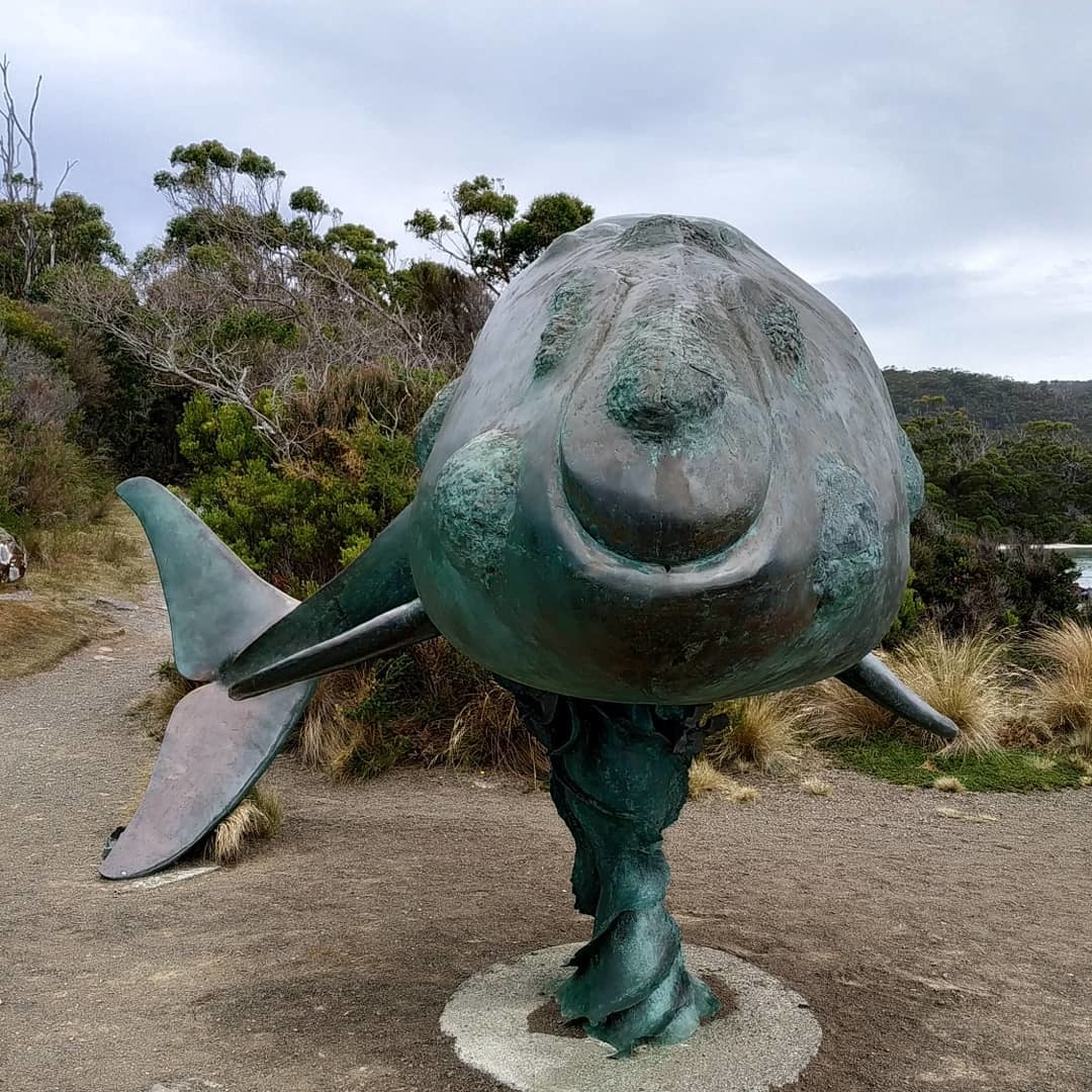 Whales smile too - My, Australia, Tasmania, Whale, Humor, Longpost