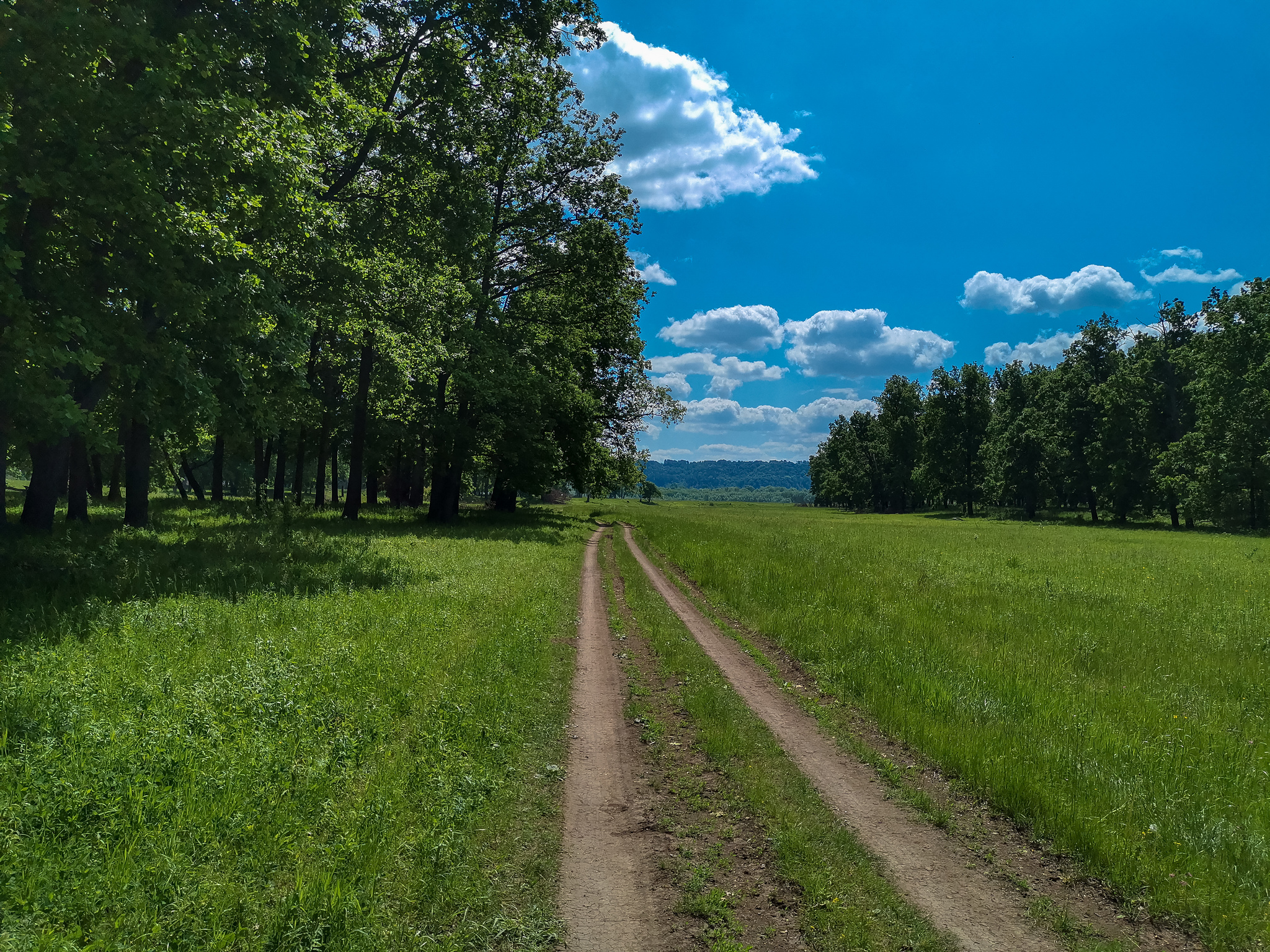 Велосипедная покатушка - Моё, Фотография, Велосипед, Природа, Красота, Пейзаж, Дзержинск, Видео, Длиннопост