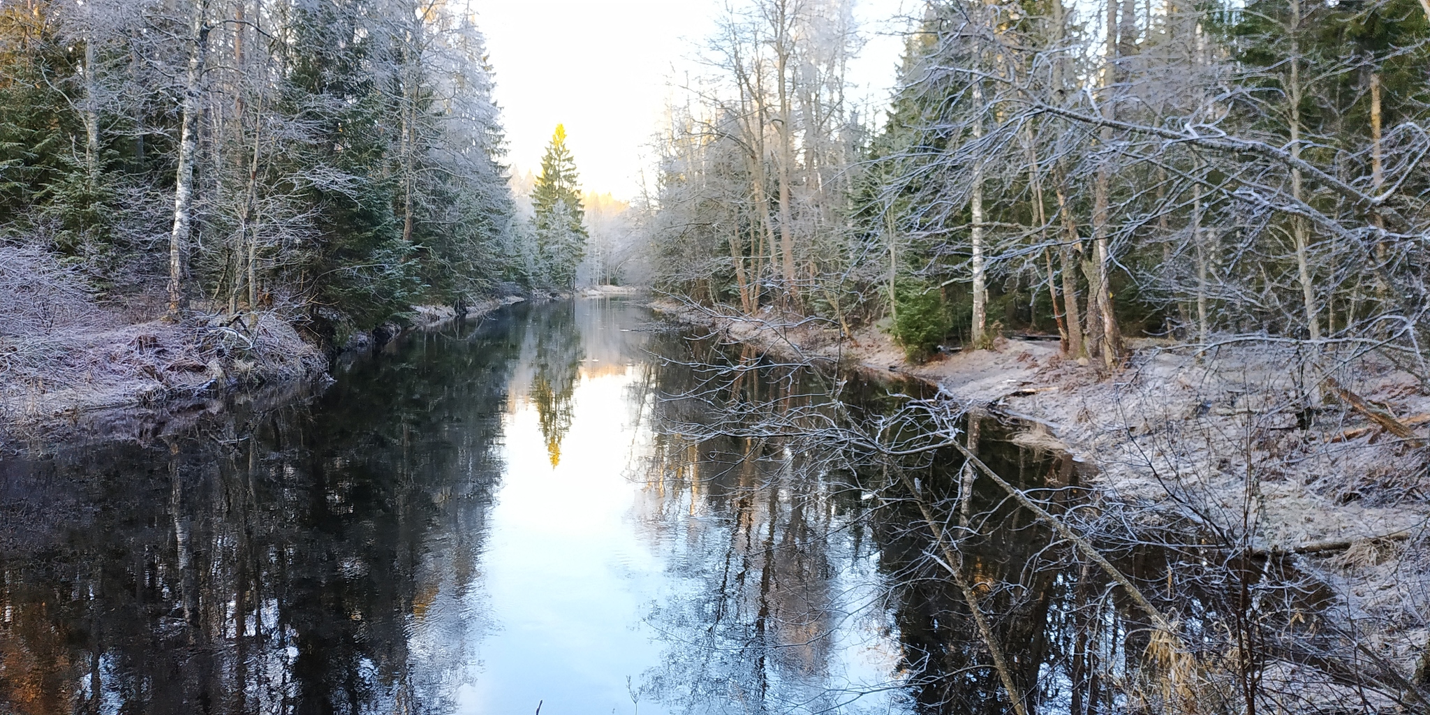 Lindulovskaya Grove this winter - My, Lindulovskaya grove, Karelian Isthmus, Longpost