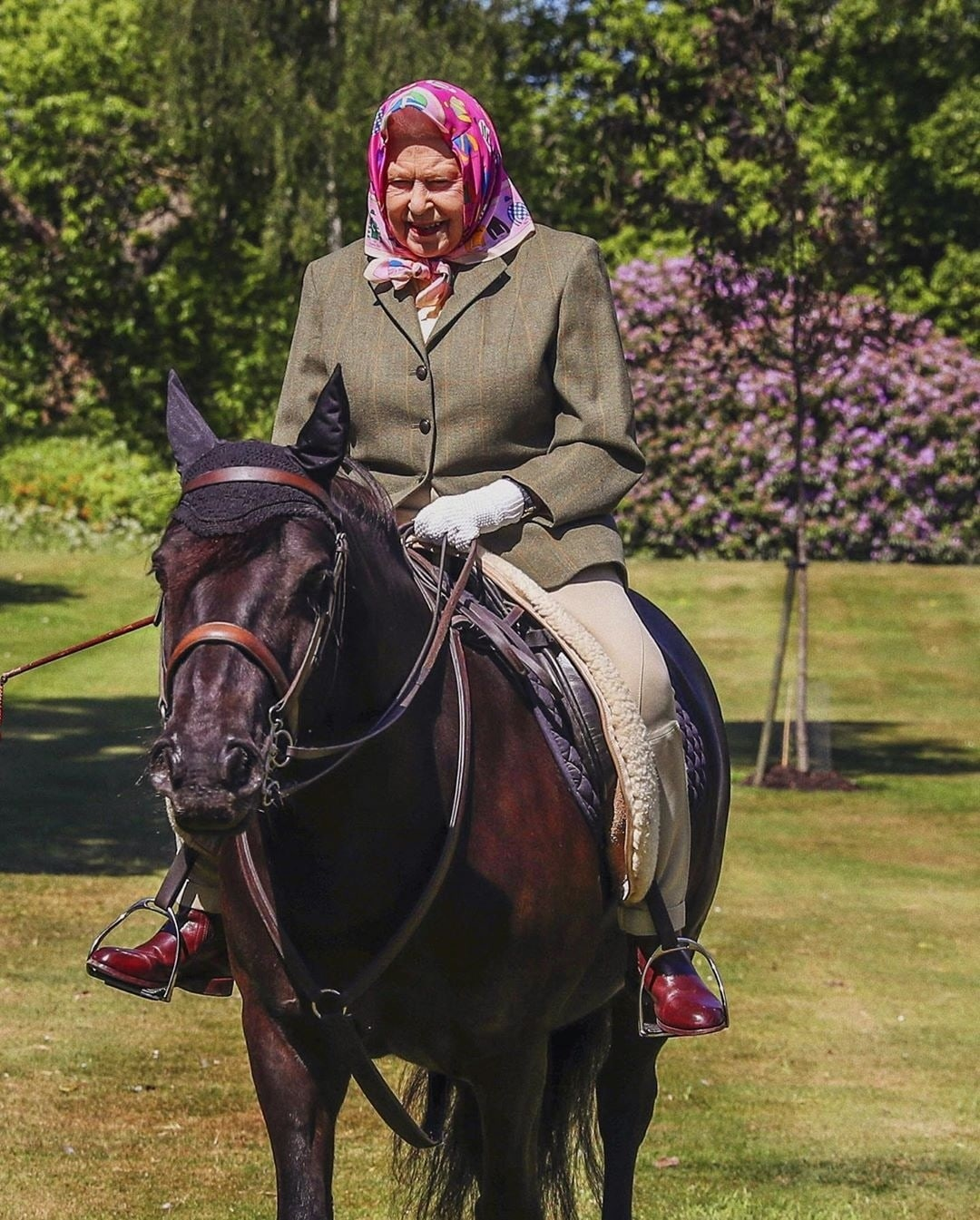 The Queen is still on horseback - Queen Elizabeth II, Pony, Horses