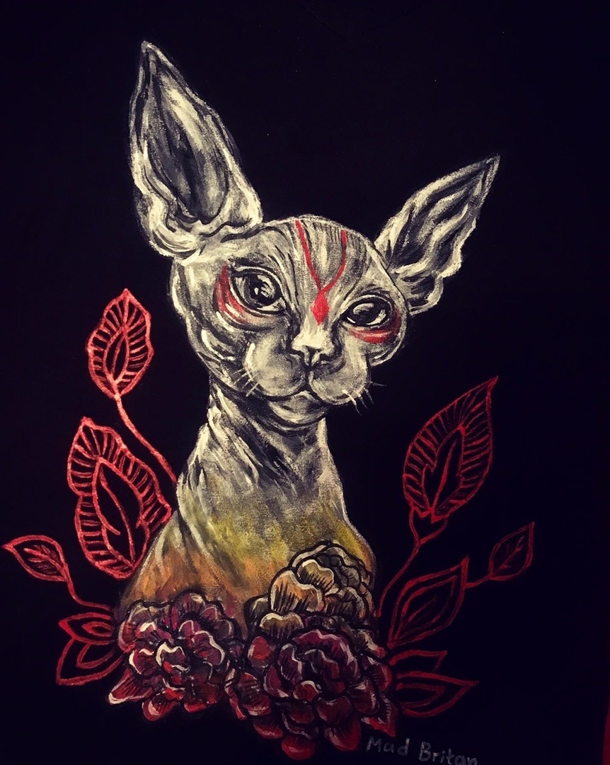 In fact, I like fluffy cats more:) Sphinx - custom T-shirt - My, Painting on fabric, T-shirt, Sphinx, cat, Drawing, Longpost