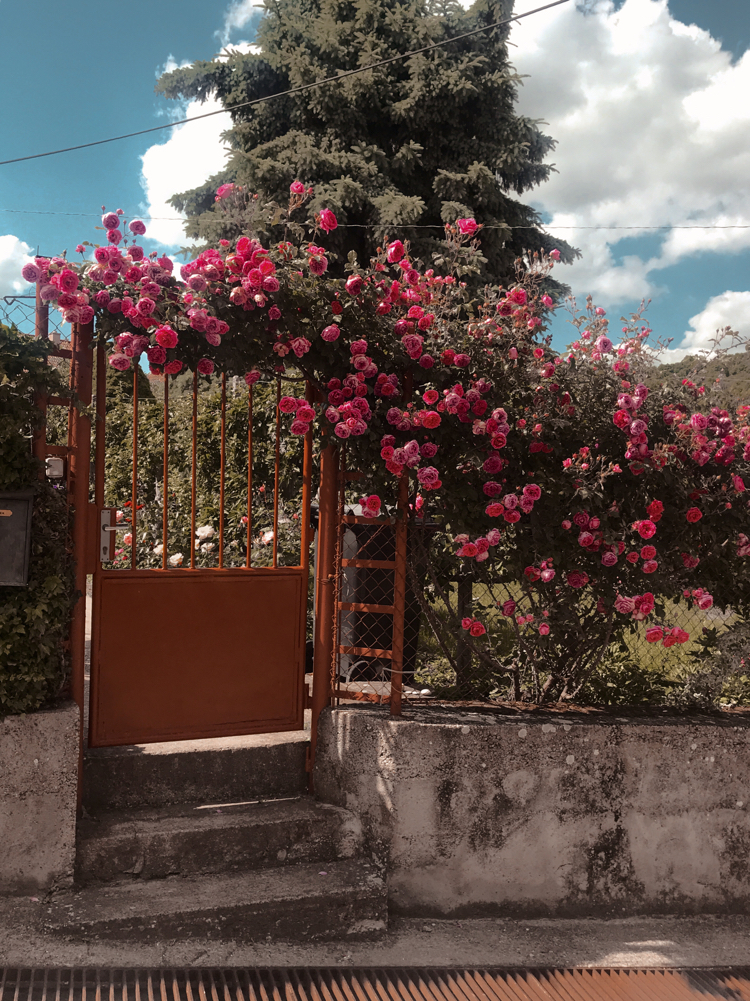 June in Slovakia - My, Slovakia, Landscape, Ruins, Nature, Europe, Longpost