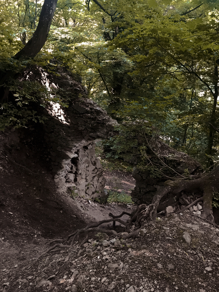 June in Slovakia - My, Slovakia, Landscape, Ruins, Nature, Europe, Longpost