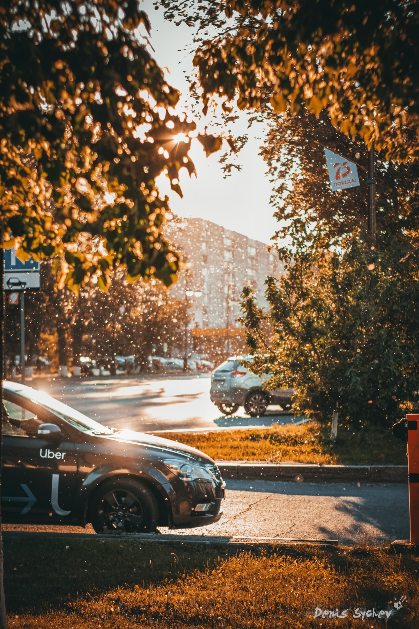 Tyumen. Poplar fluff, heat, June... - Town, Fluff, June, Heat, Longpost