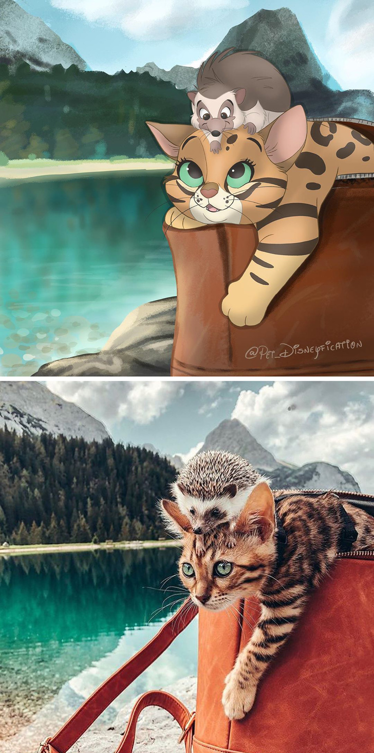 People send photos of pets to this artist to turn them into cartoon characters - Pets, Drawing, Longpost, Dog, cat, Milota