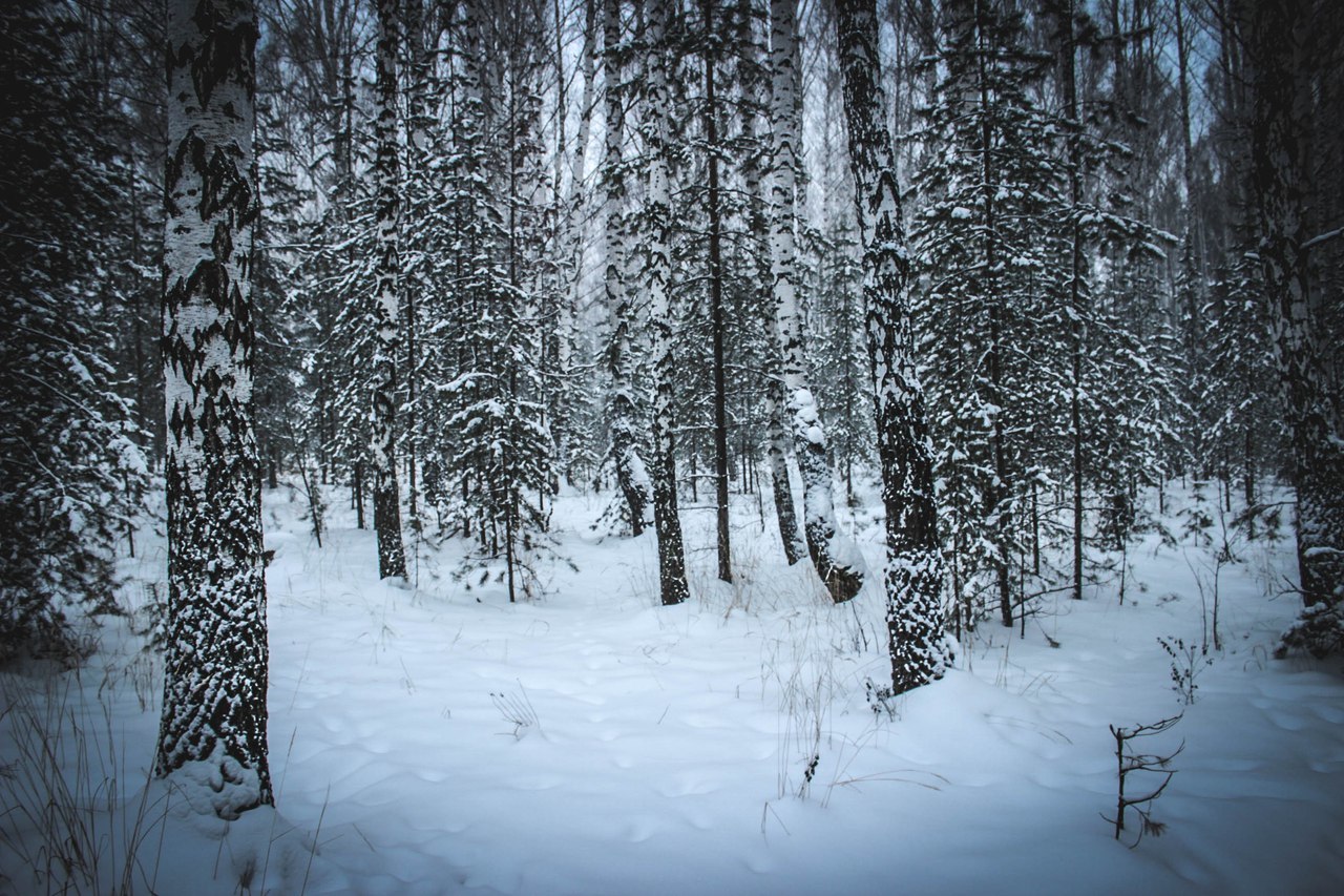 Ural winter - My, Nature, The nature of Russia, Winter, Sverdlovsk region, Longpost