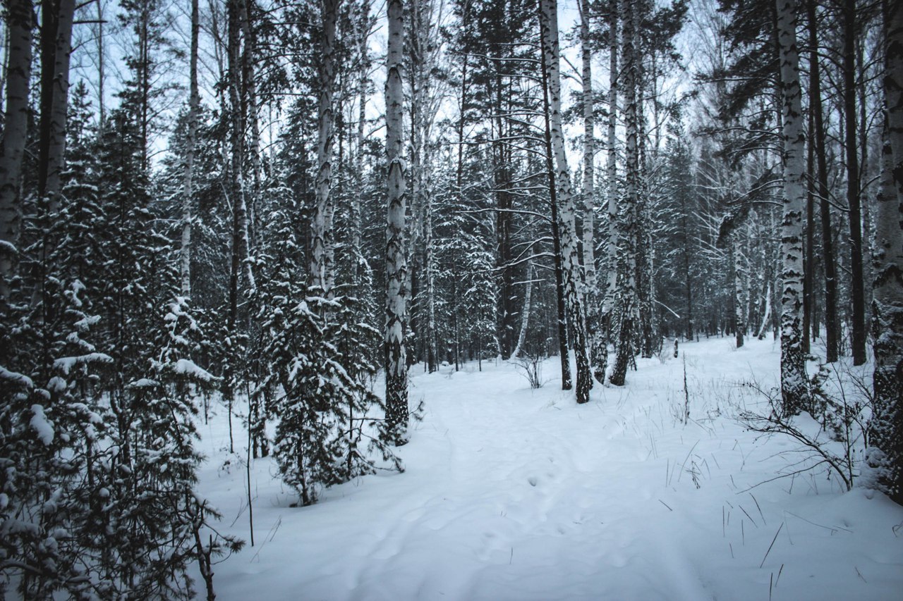 Ural winter - My, Nature, The nature of Russia, Winter, Sverdlovsk region, Longpost