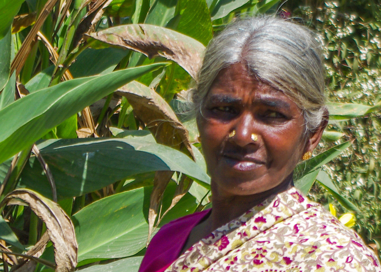 Where are the Indians?! - My, Sri Lanka, Travels, The photo, People, Religion, Wild tourism, Longpost