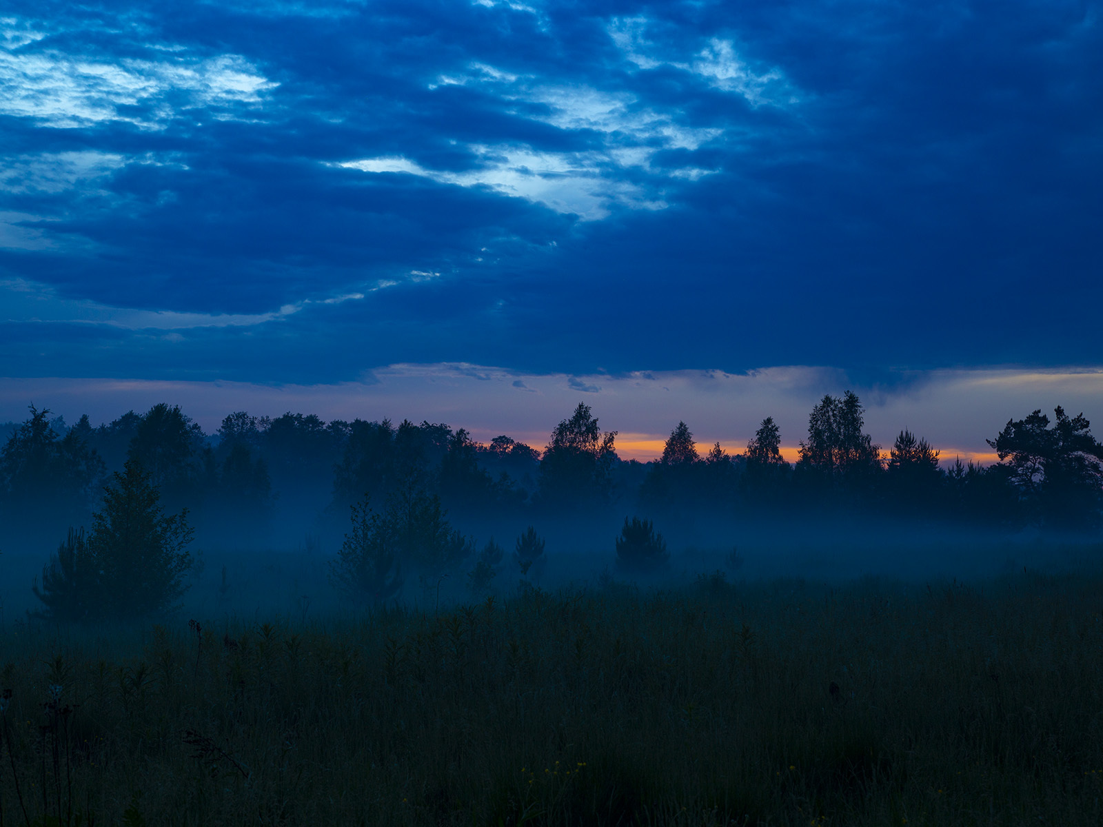 Fog after yesterday's rain - My, Fog, The photo, Atmospheric, After the rain, Nature, Longpost