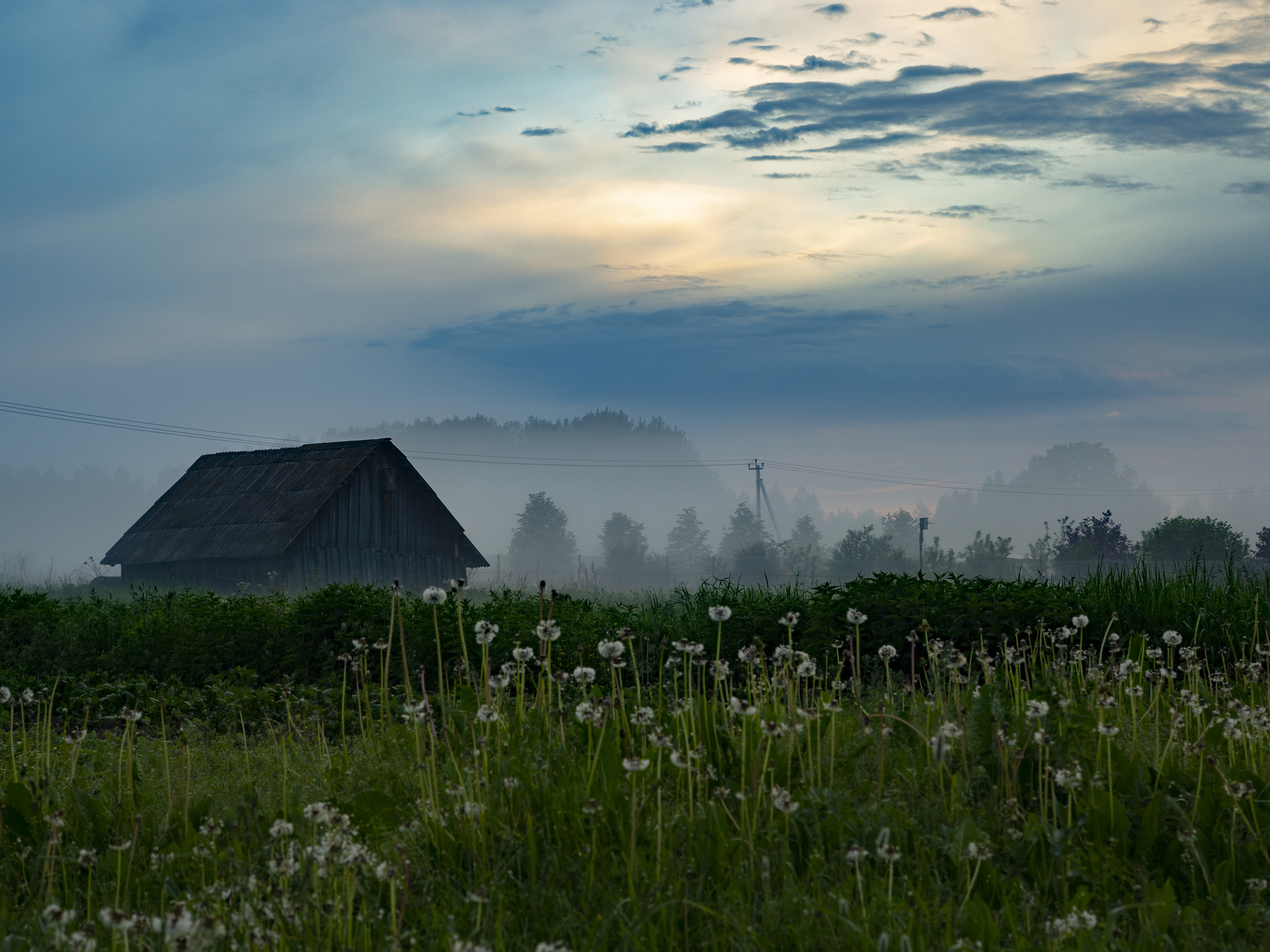 Fog after yesterday's rain - My, Fog, The photo, Atmospheric, After the rain, Nature, Longpost