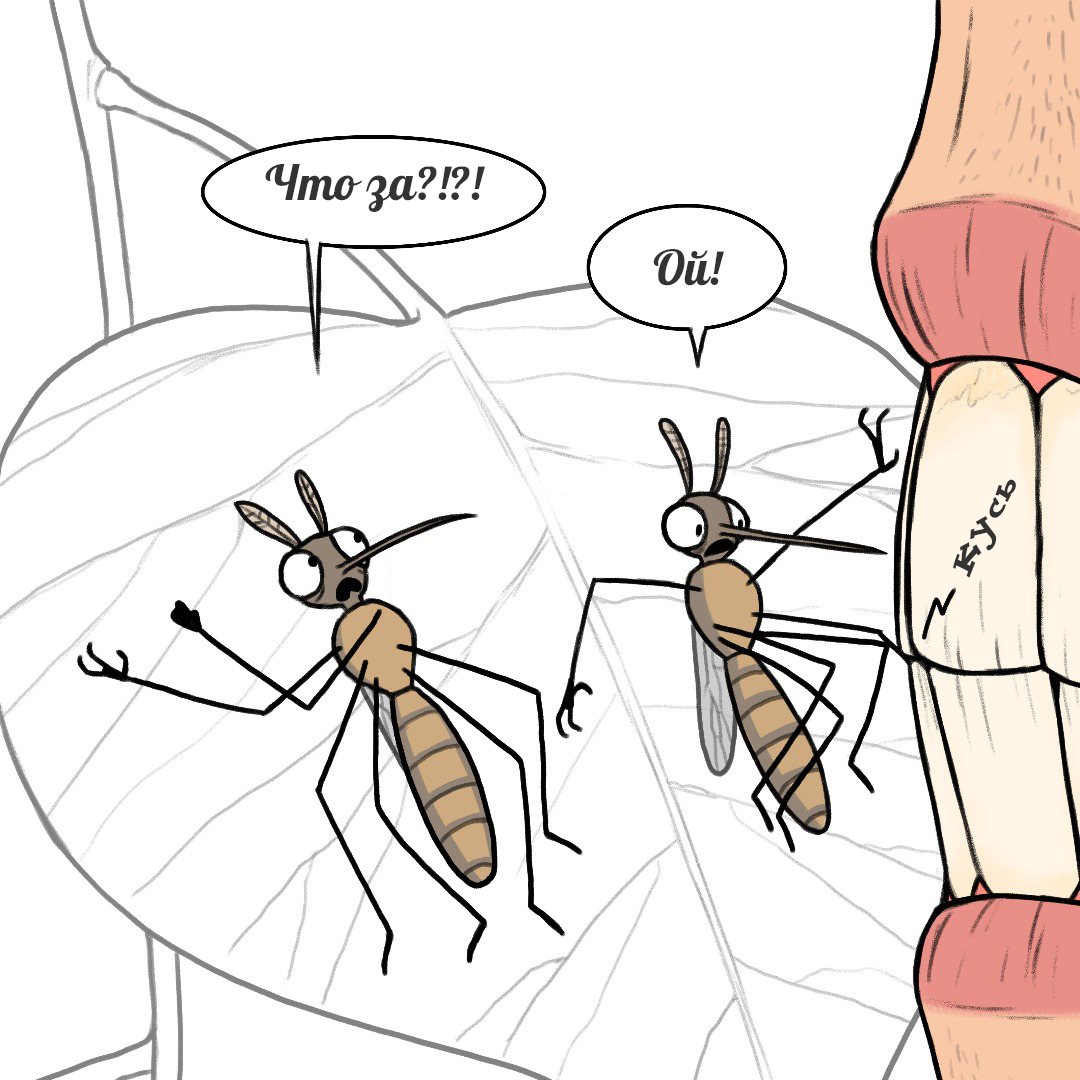 Mosquitoes - Pet foolery, Comics, Mosquitoes, Longpost