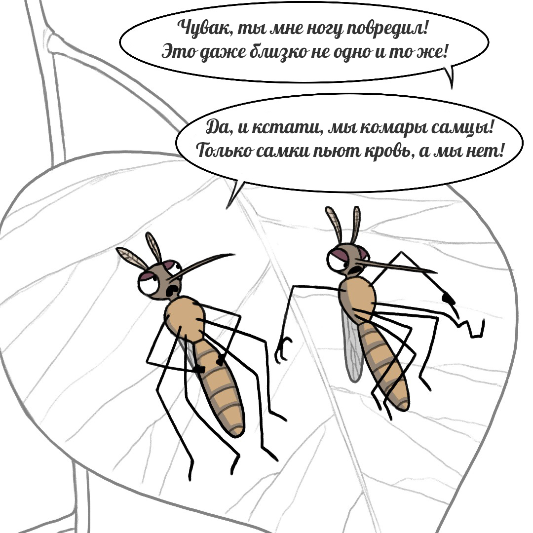 Mosquitoes - Pet foolery, Comics, Mosquitoes, Longpost