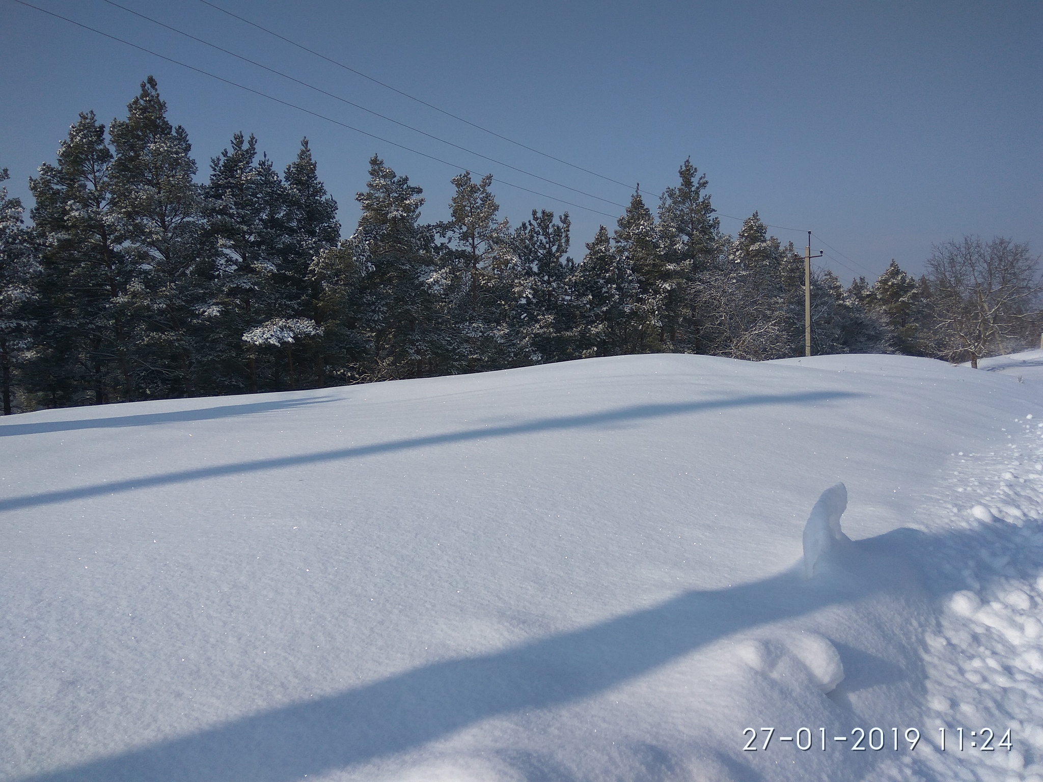 Hugs - My, Transnistria, Kemerovo, Longpost, cat