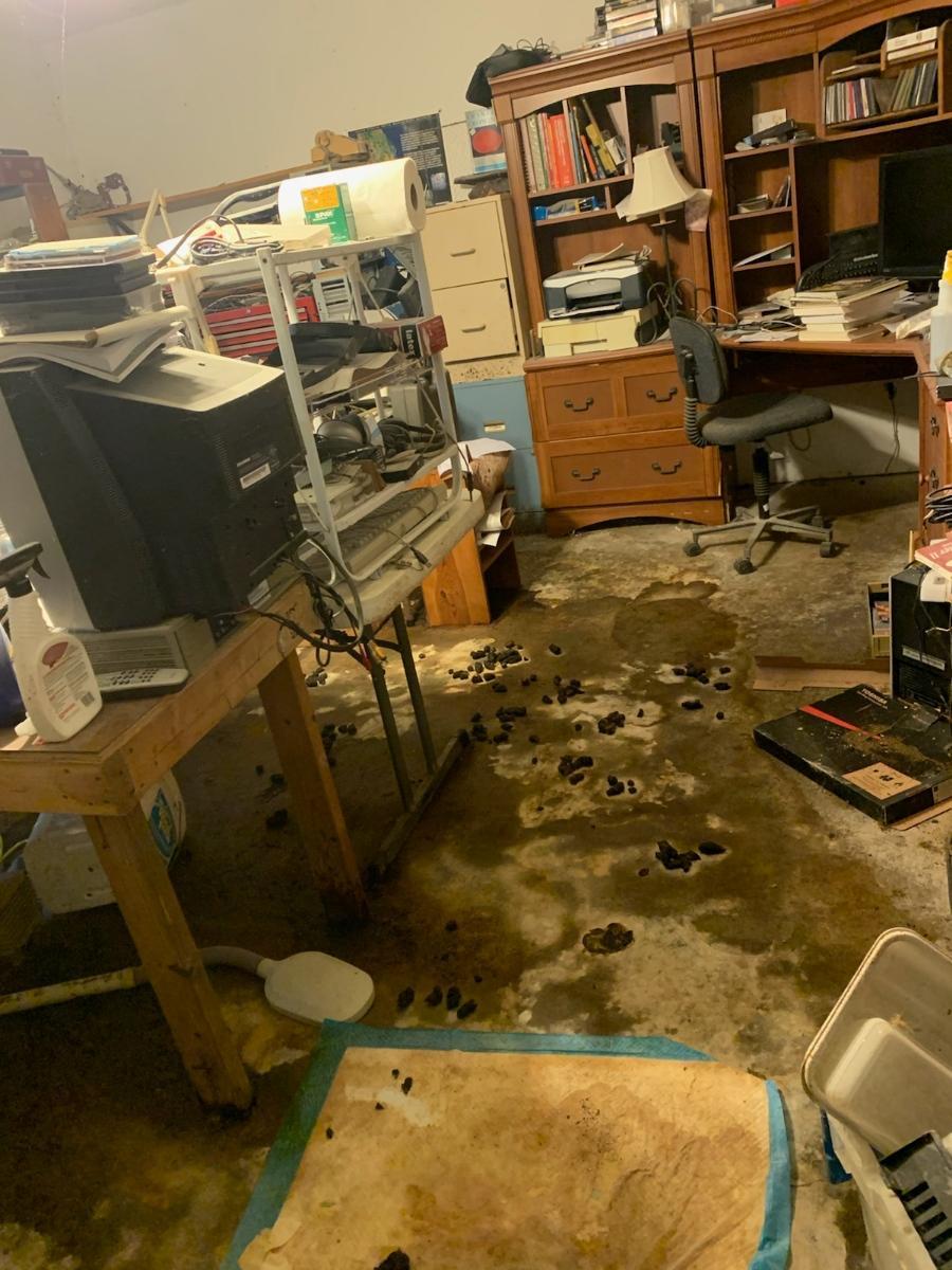 “My brother was sent to this house to report problems with the Internet. As it turned out, the Internet is not the biggest problem of this place.” - The photo, House, Dog, Mess, Animals, Feces, USA