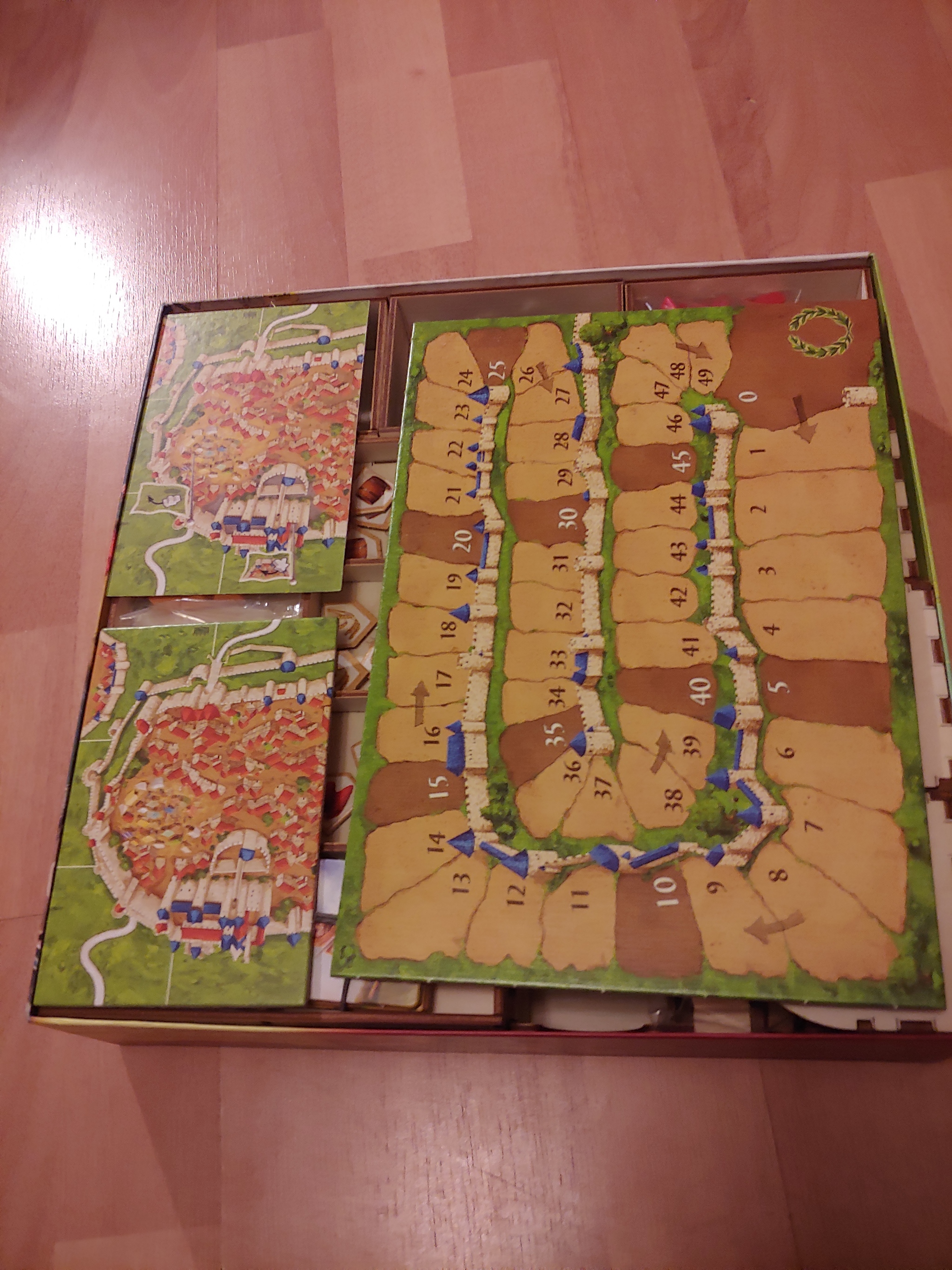 Carcassonne of a sick man - My, Board games, Carcassonne, Organizer, Carcassonne, Longpost