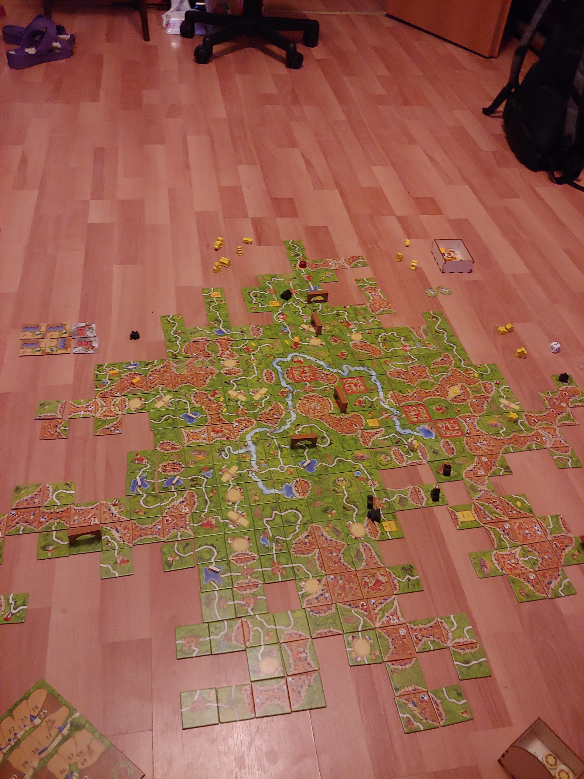 Carcassonne of a sick man - My, Board games, Carcassonne, Organizer, Carcassonne, Longpost