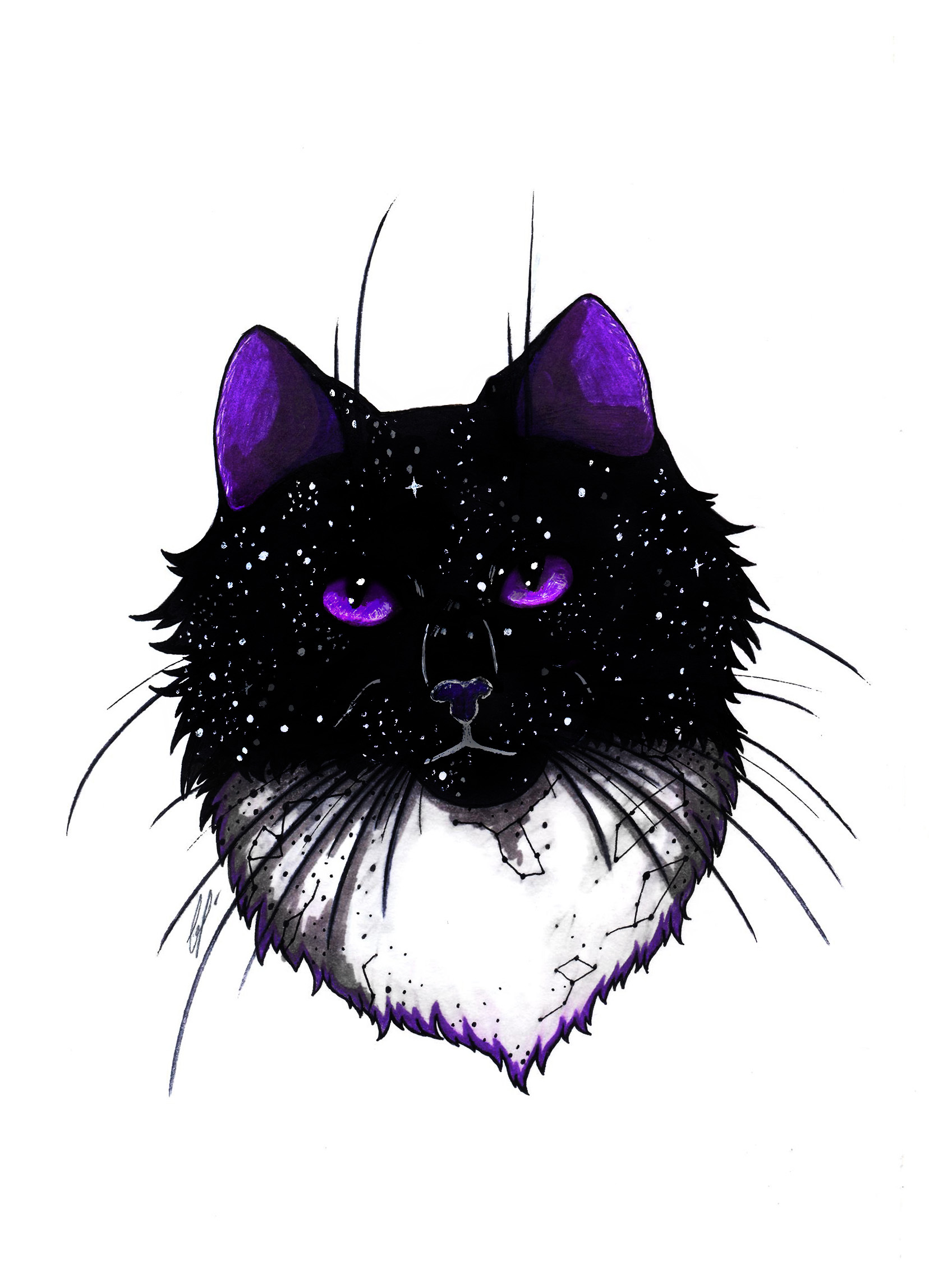 Lunar cat - My, cat, Space, Drawing