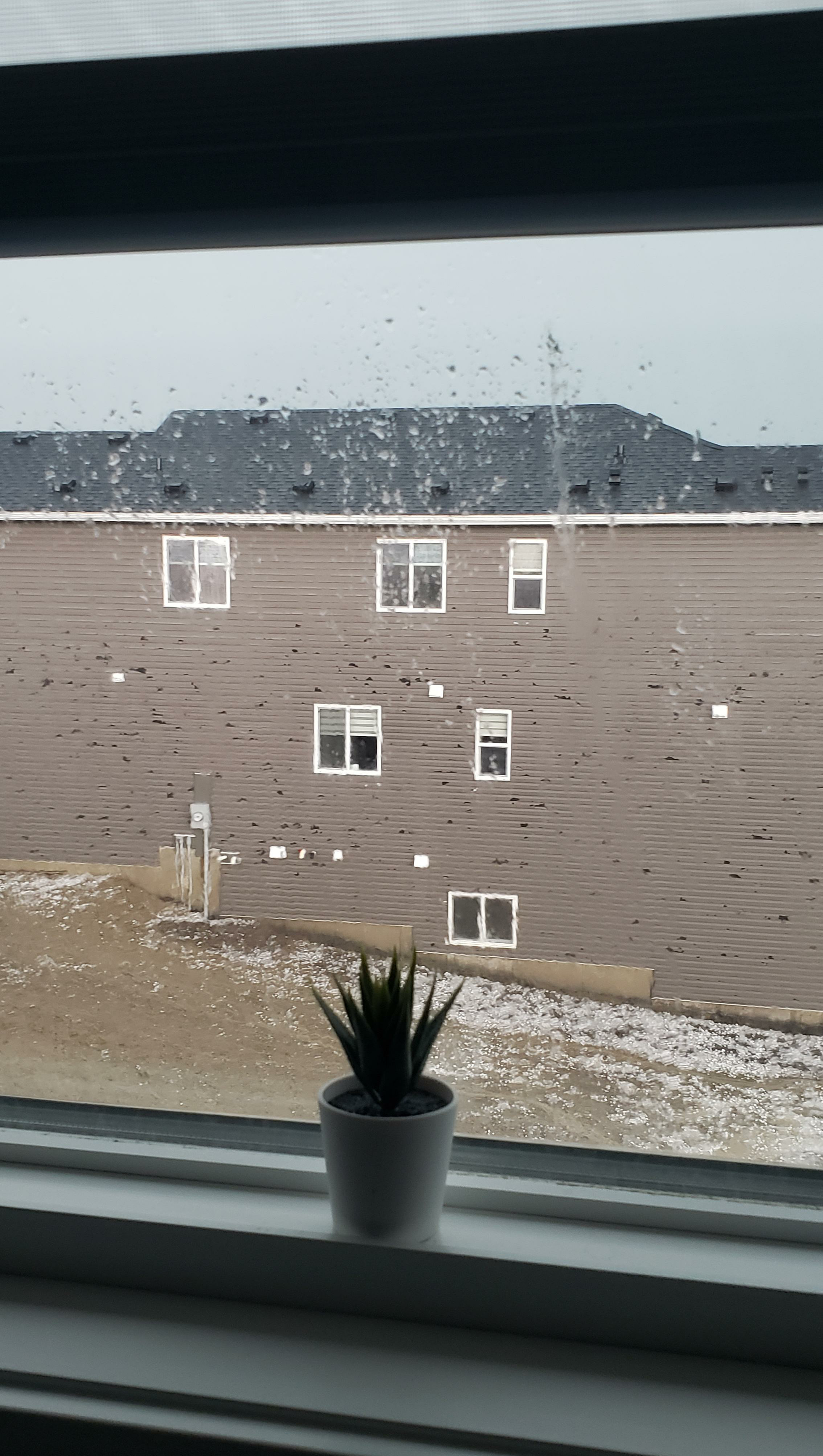 Aftermath of today's minor 10-minute storm in Calgary, Canada - Canada, Calgary, Hurricane, Hail, Weather, Consequences, Destruction, Reddit, Longpost