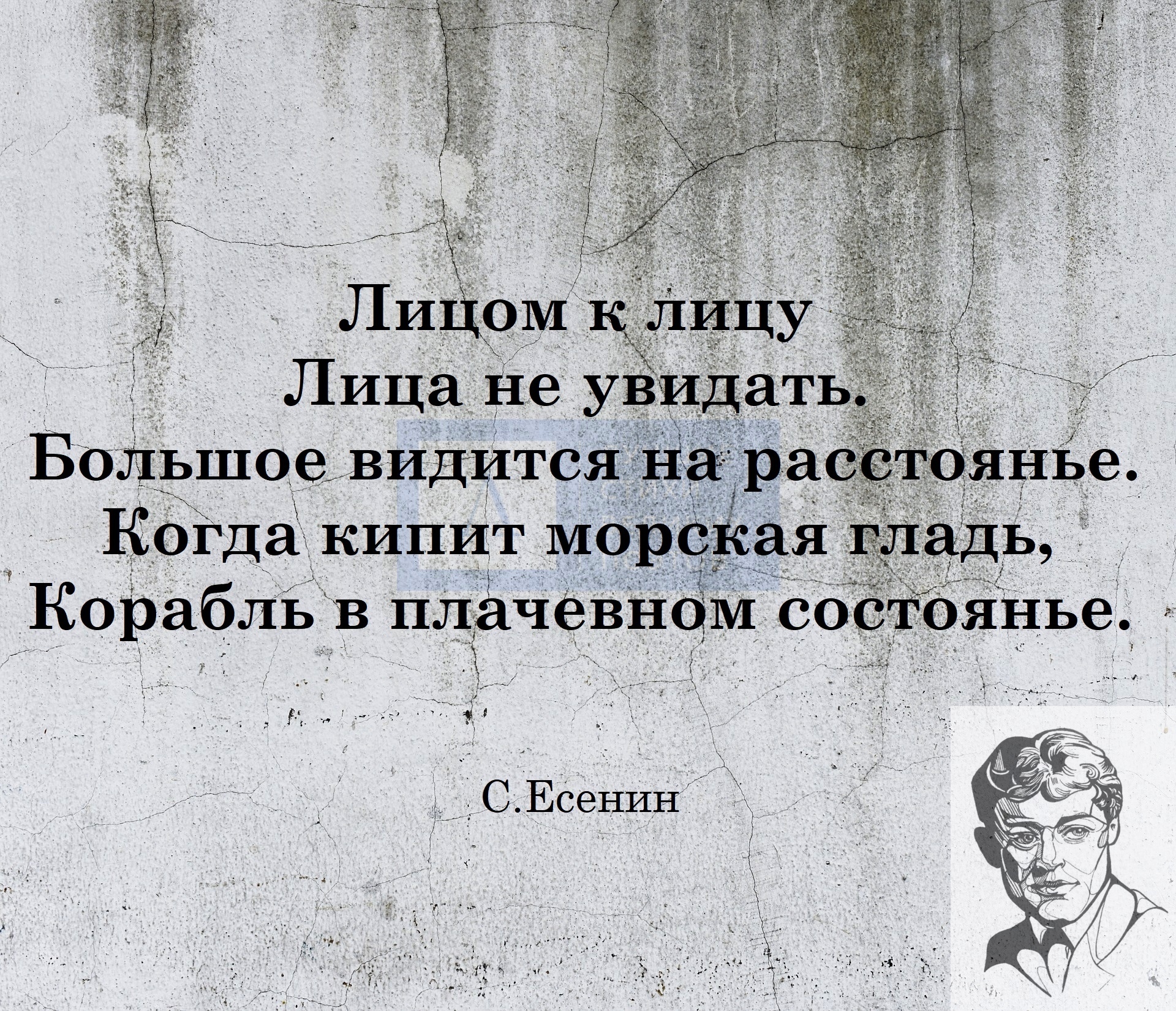 Лицом к лицу лица не увидать. Лицом к лицу лица не увидать большое видится. Лицом к лицу не увидать. Лицом к лицу не увидать большое видится на расстоянии. Лицом к лицу стих.