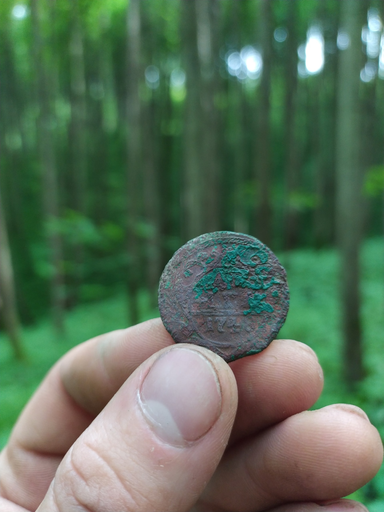 The forest ravine turned out to be full of money! Searching for gold with a metal detector - My, Search, Metal detector, Treasure hunt, Hobby, Nature, Travels, Coin, Numismatics, Video, Longpost