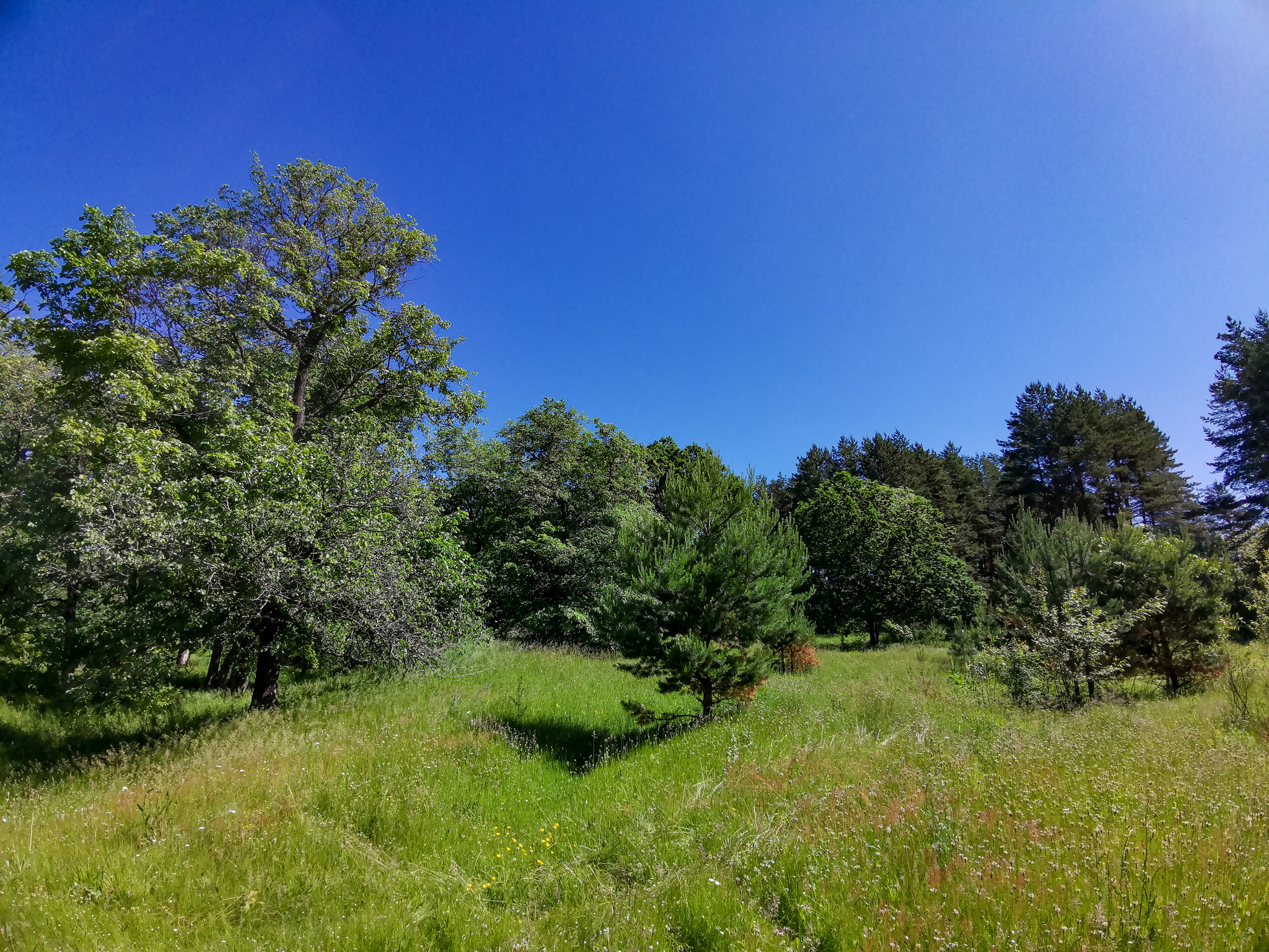 Landscape bike ride - My, Mobile photography, Huawei mate 20, Landscape, A bike, Longpost