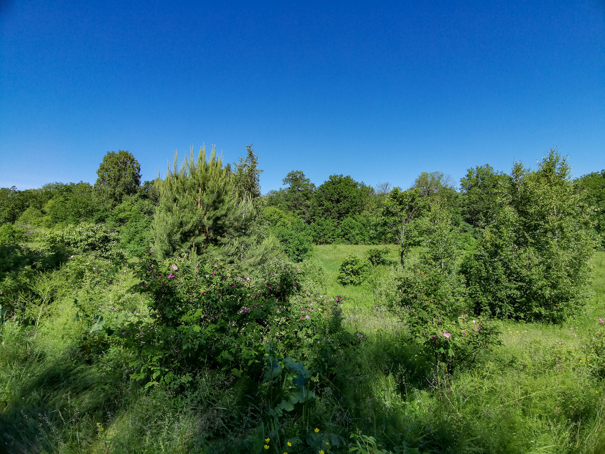 Landscape bike ride - My, Mobile photography, Huawei mate 20, Landscape, A bike, Longpost