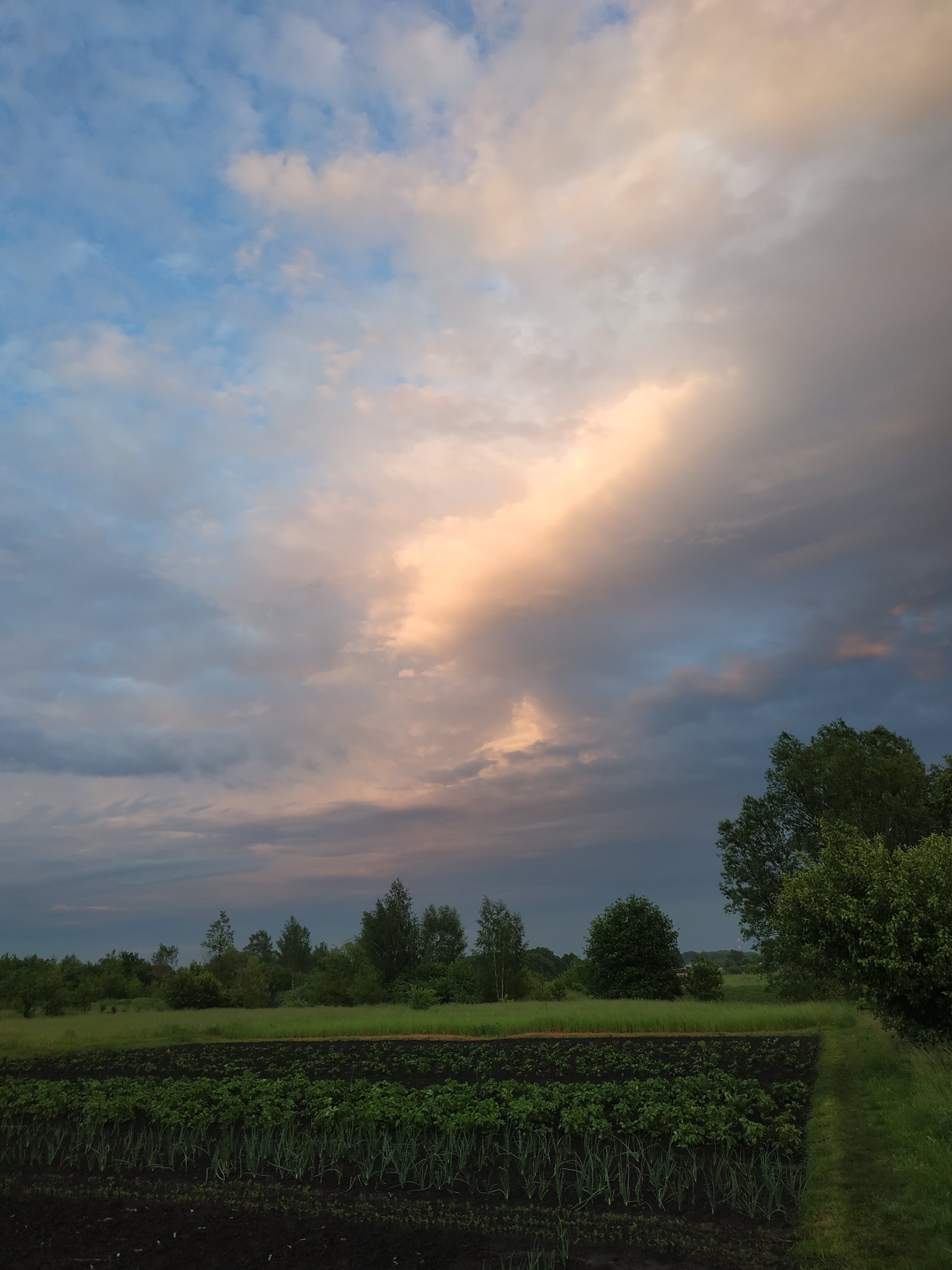 We're good too - My, Village, Nature, Sky, Summer, Longpost