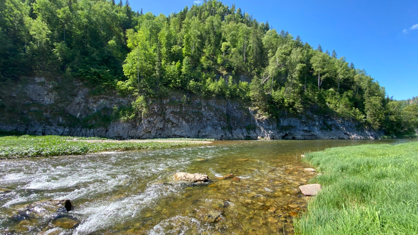 River Zilim. Republic of Bashkortostan. 2020 - My, Zilim, Bashkortostan, Longpost, Nature, The photo