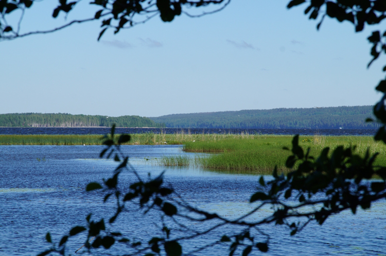 Somewhere on the Karelian Isthmus - My, Camping, Karelian Isthmus, Fishing, Longpost