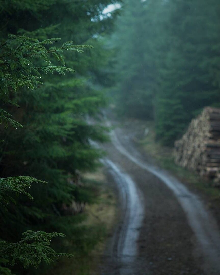 Standard Bearer of Chaos - My, Images, Mystic, Nature, Harmony, Text, Supernatural, Fantasy, Longpost, Author's story, Adventures