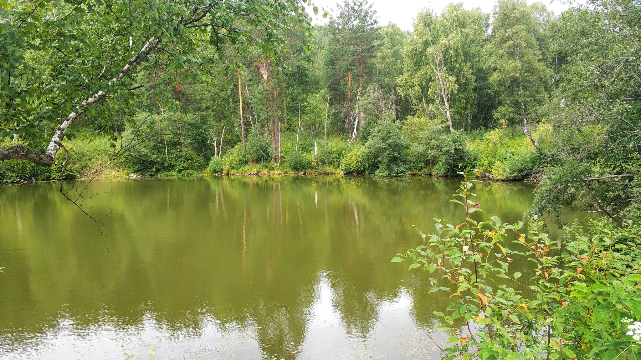 Nature of Russia. Part one. Bashkiria. Burzyan - My, Bashkortostan, Landscape, Nature, Shulgan-Tash, Kapova Cave, Longpost