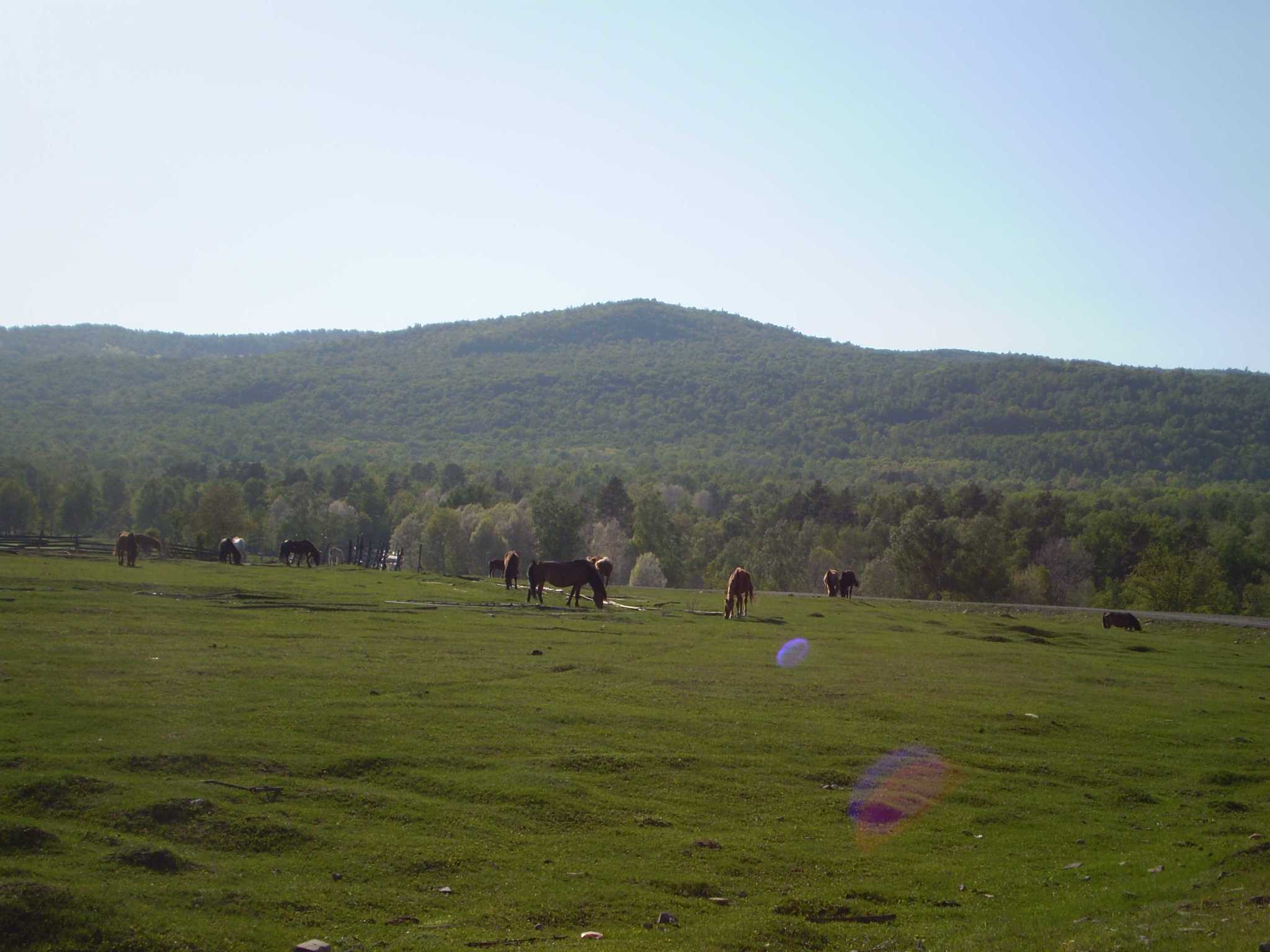 Nature of Russia. Part one. Bashkiria. Burzyan - My, Bashkortostan, Landscape, Nature, Shulgan-Tash, Kapova Cave, Longpost