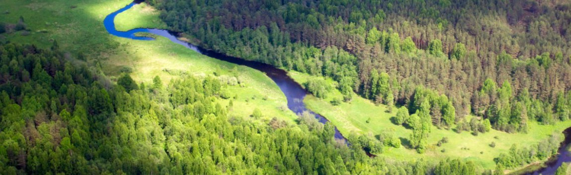 A bill on the possibility of privatizing national park lands has been submitted to the State Duma - National park, Bill, State Duma, Politics