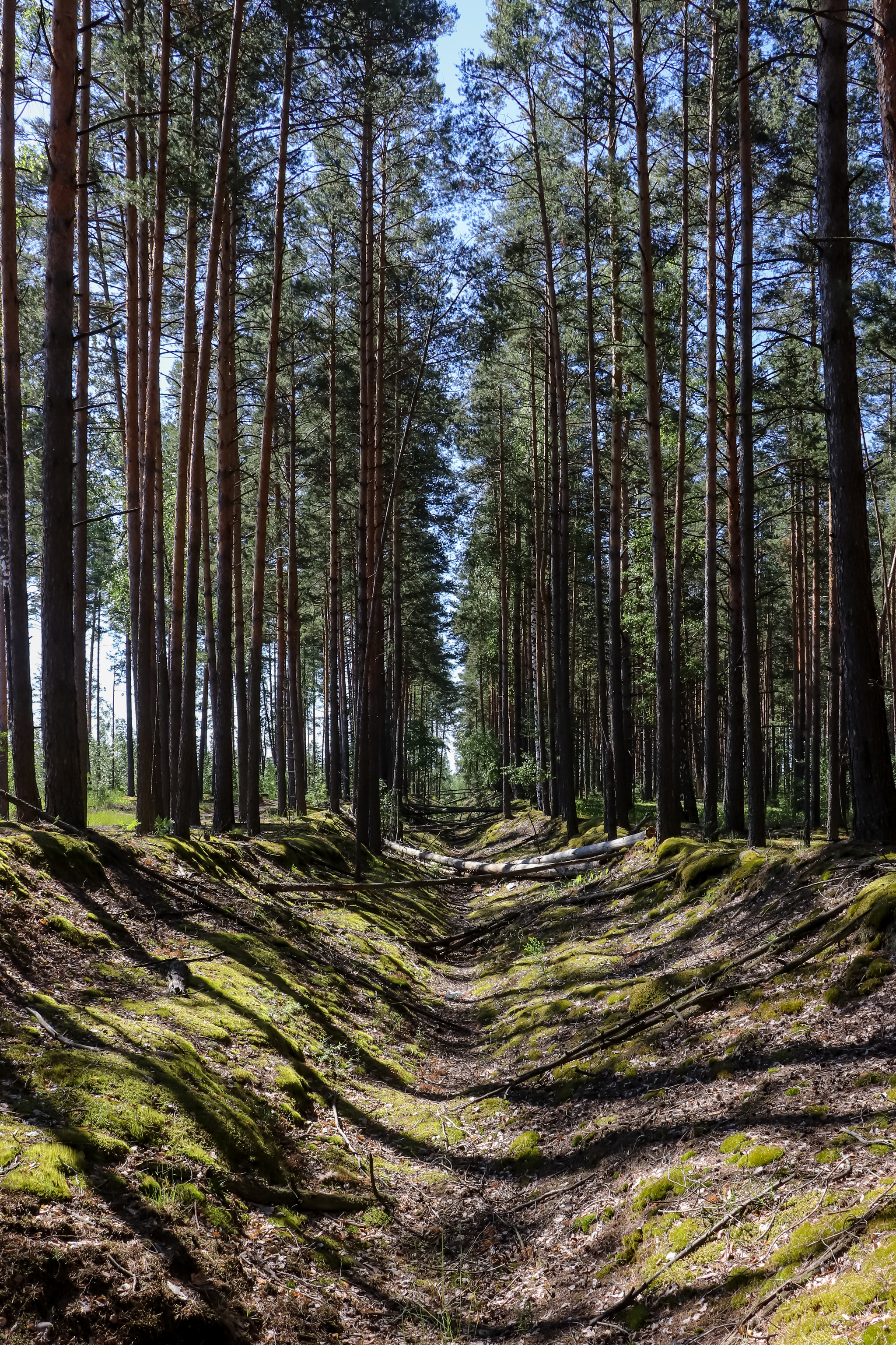 Велосипедно-летнее - Моё, Фотография, Велосипед, Природа, Лето, Озеро, Длиннопост